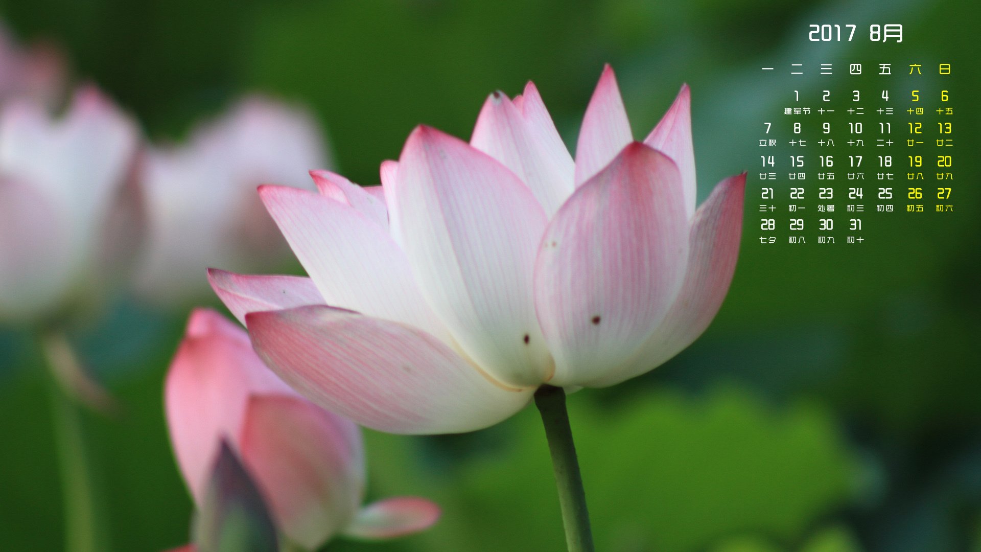 月历,2017年8月