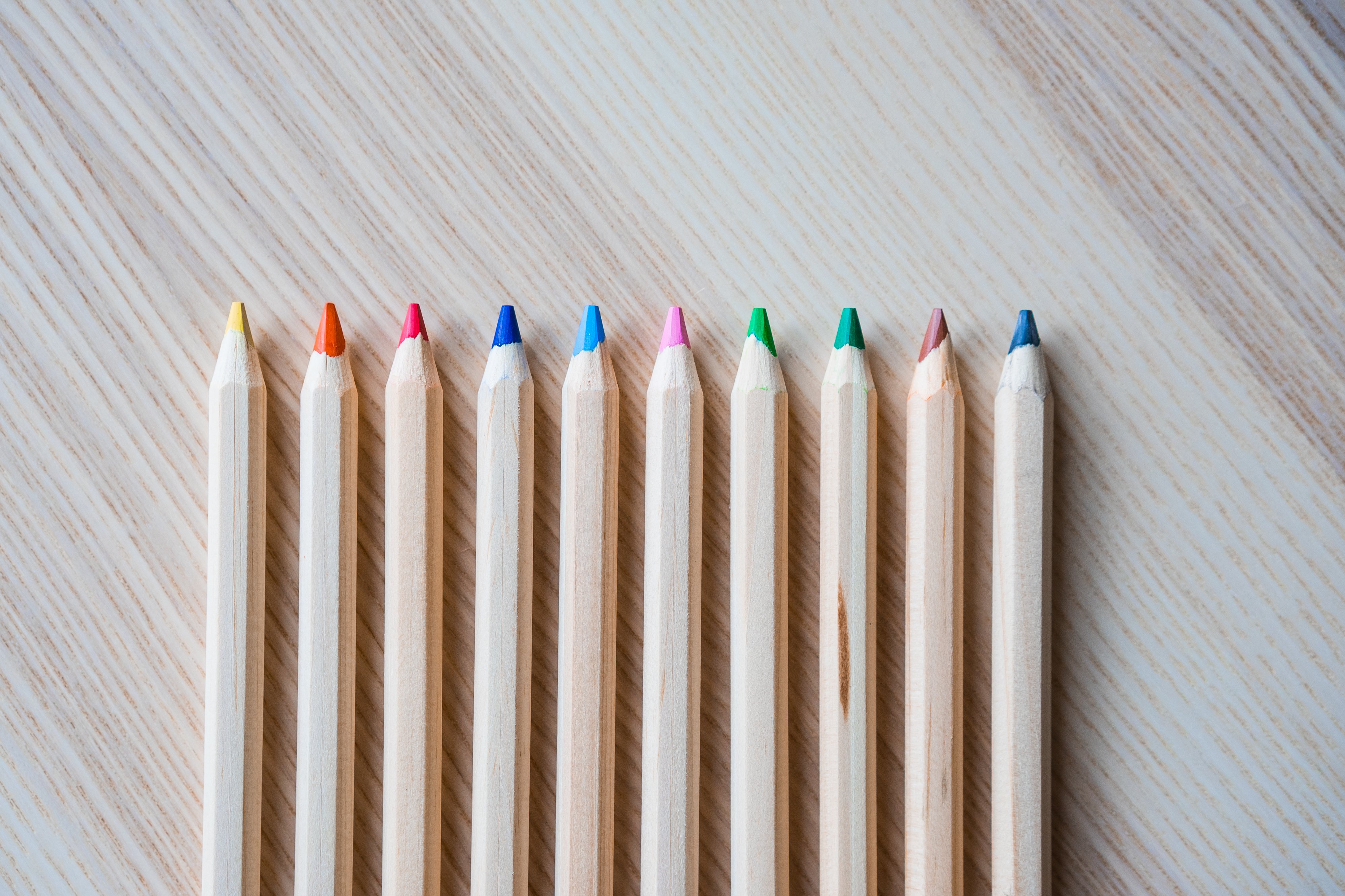 4K,画笔,静物写真