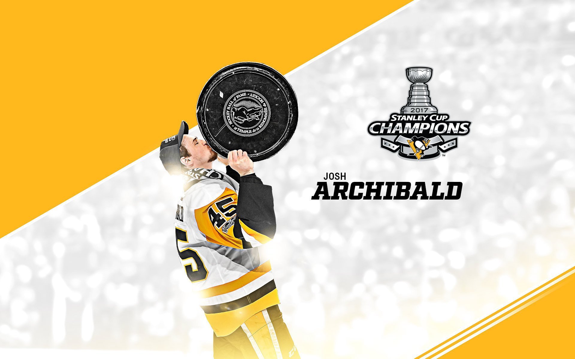 体育,运动,2017NHL总冠军球员,冰球