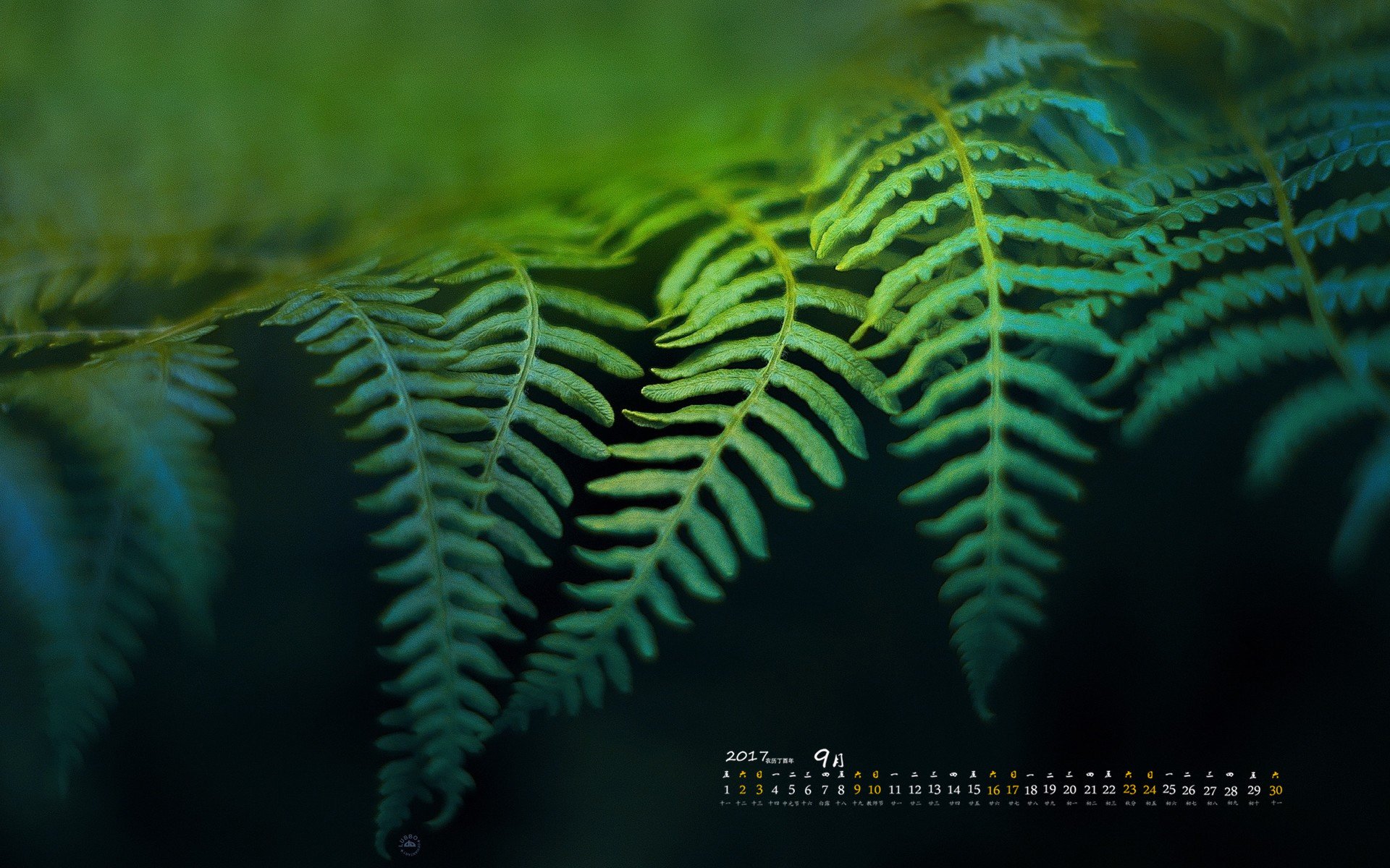 月历,2017年9月