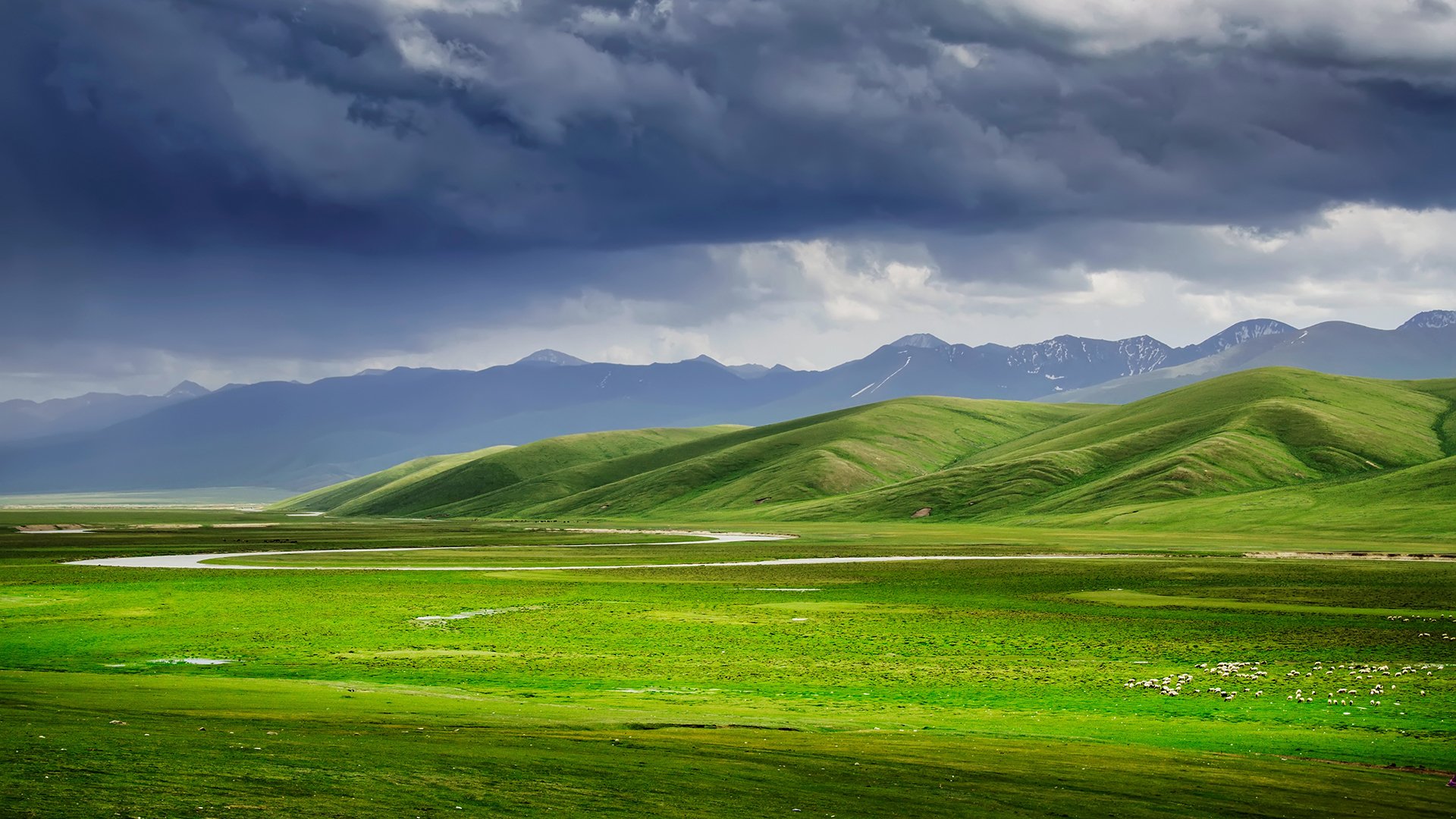 风景,自然风光,草原