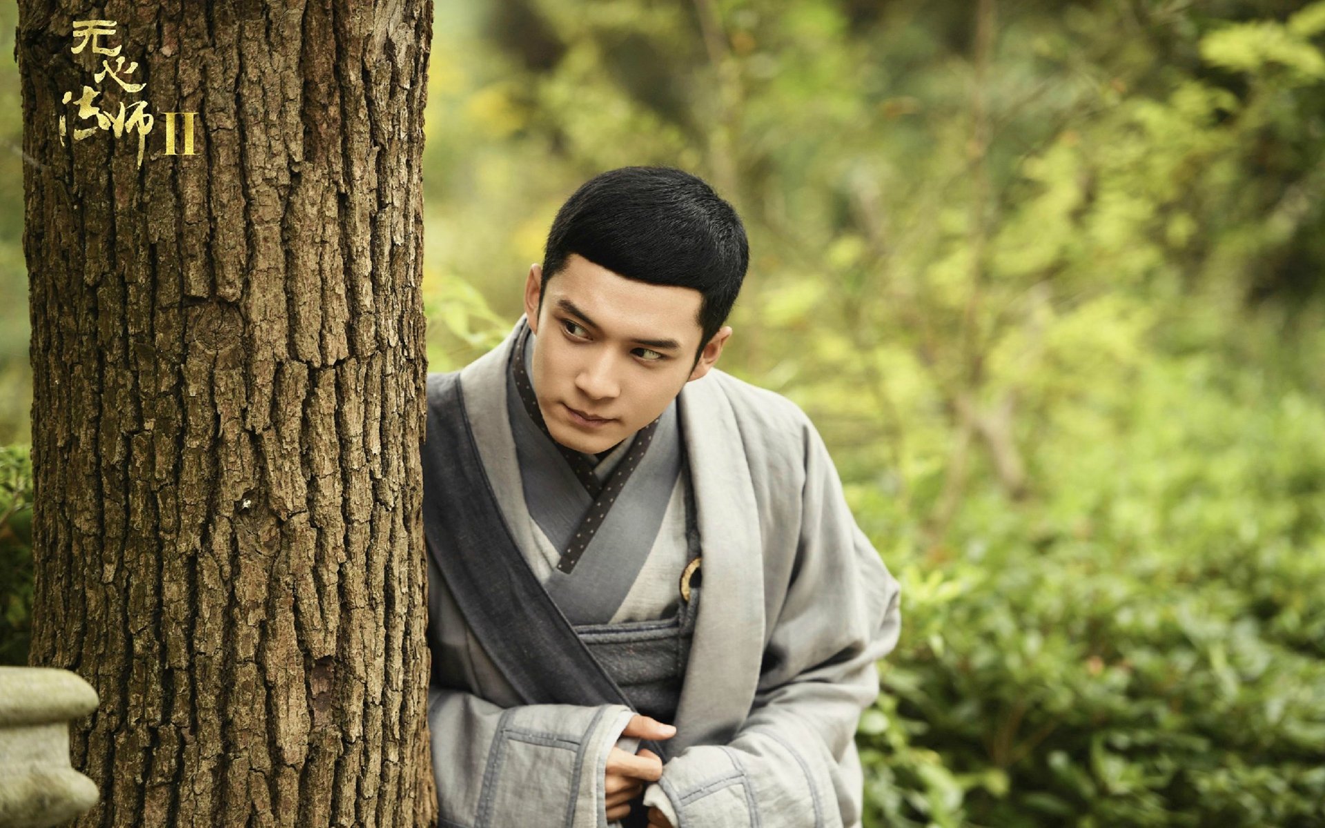 影视,电视剧,无心法师2