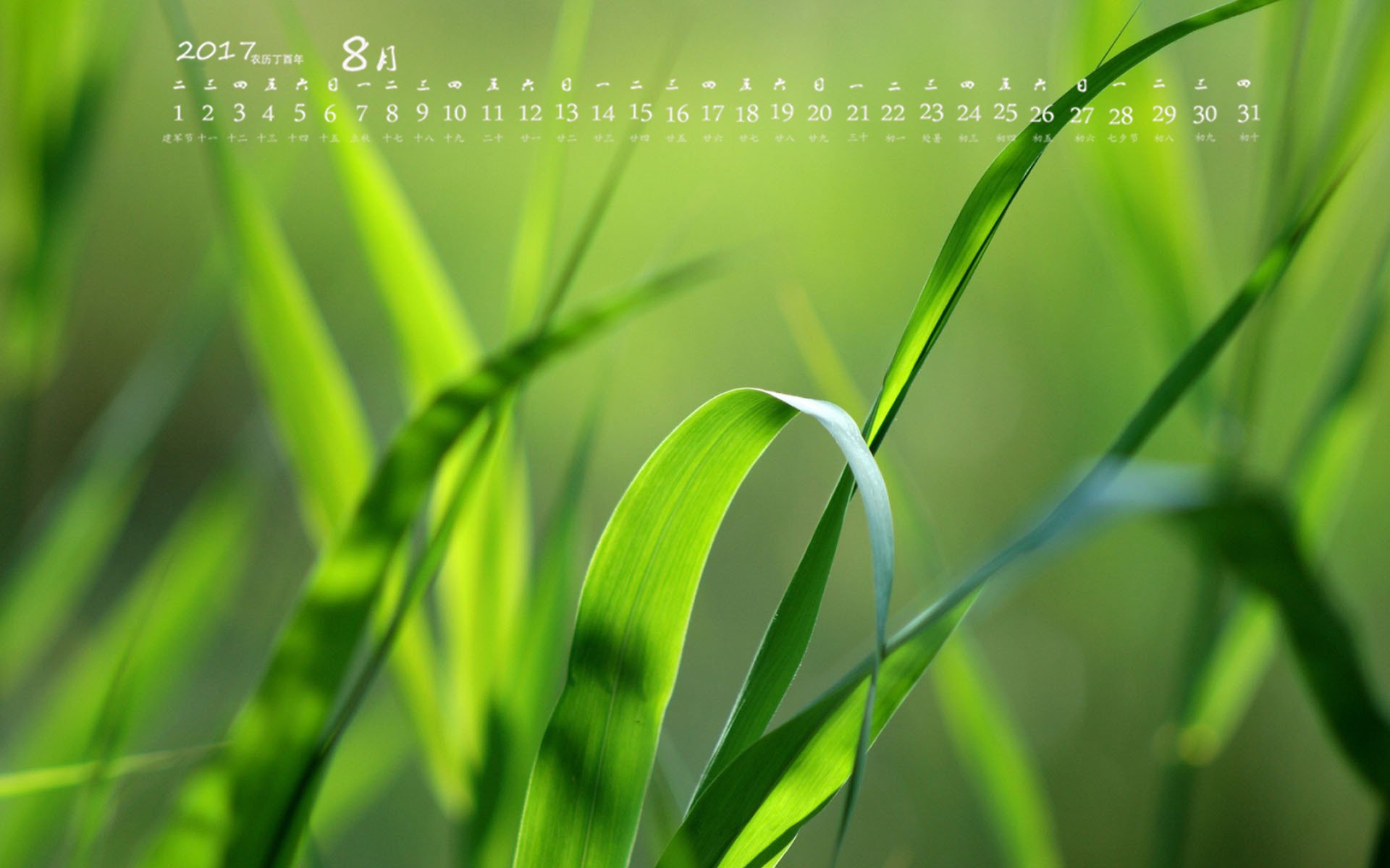 月历,2017年8月