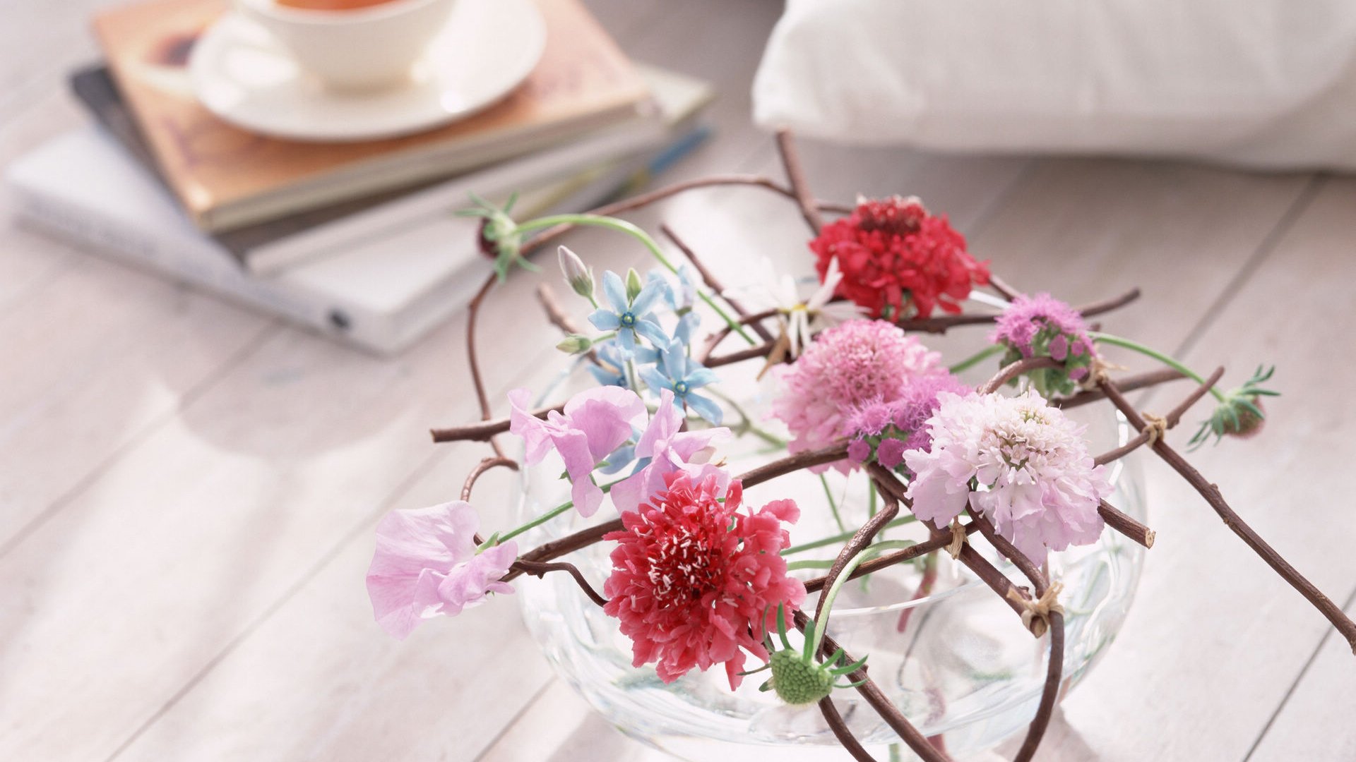 小清新,植物,清新淡雅,花朵