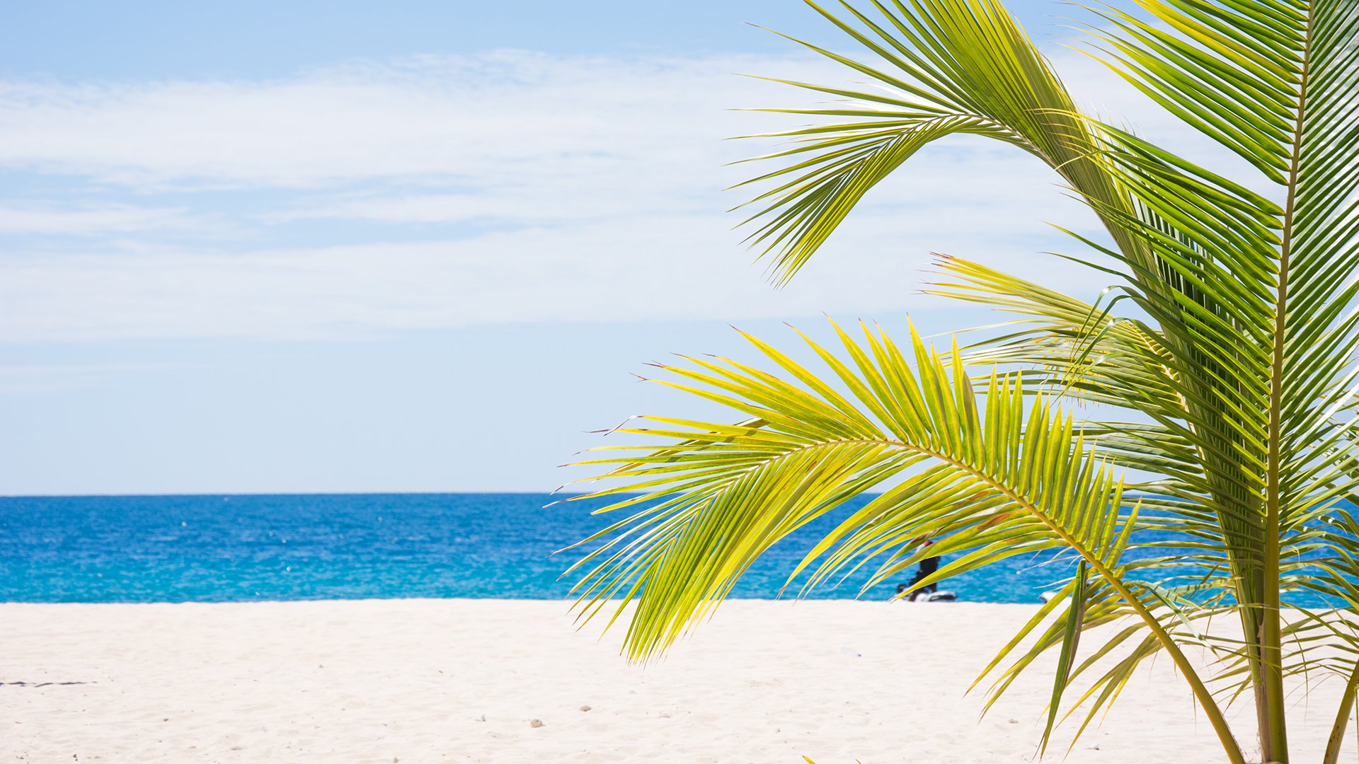 风景,海洋天堂,沙滩