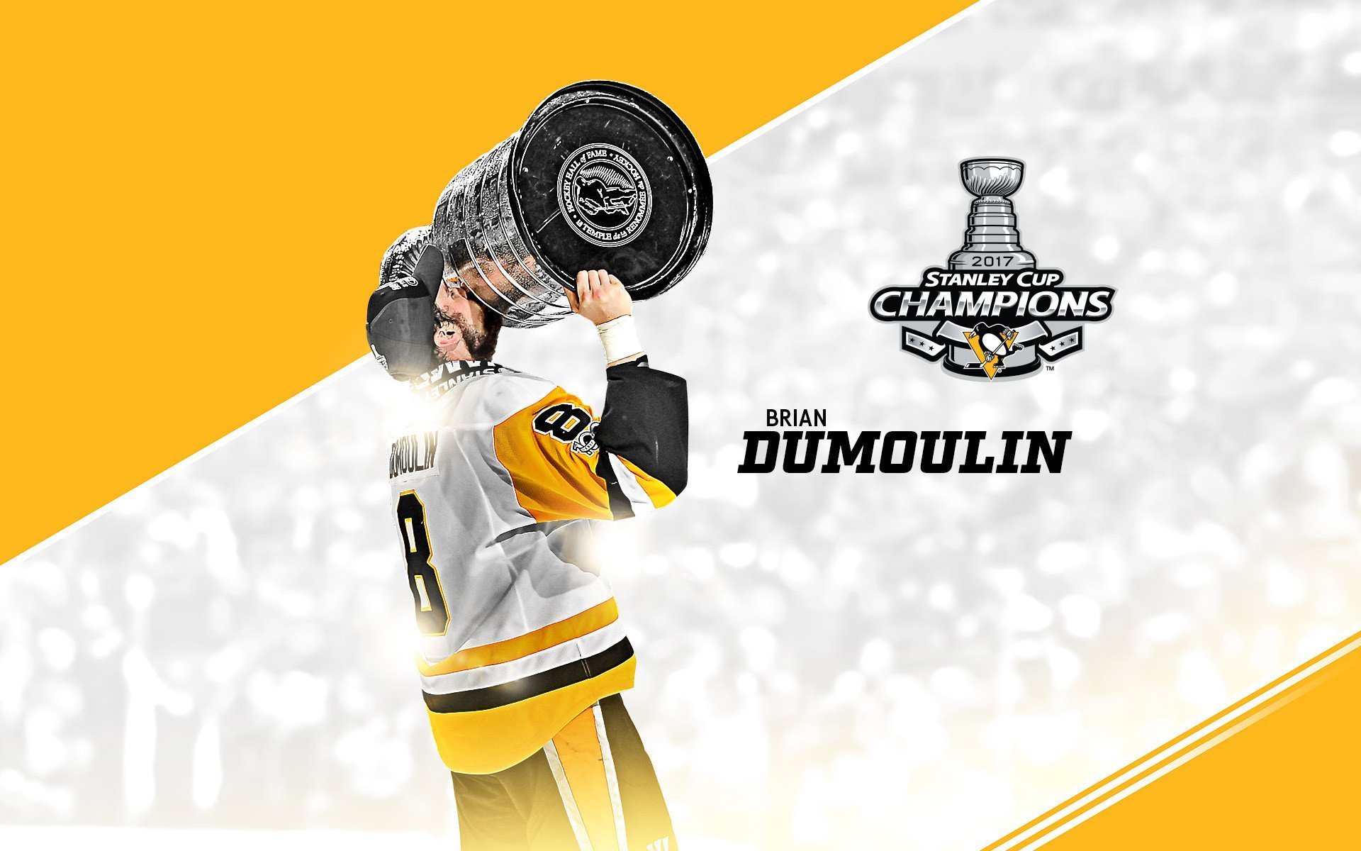 体育,运动,冰球,2017NHL总冠军