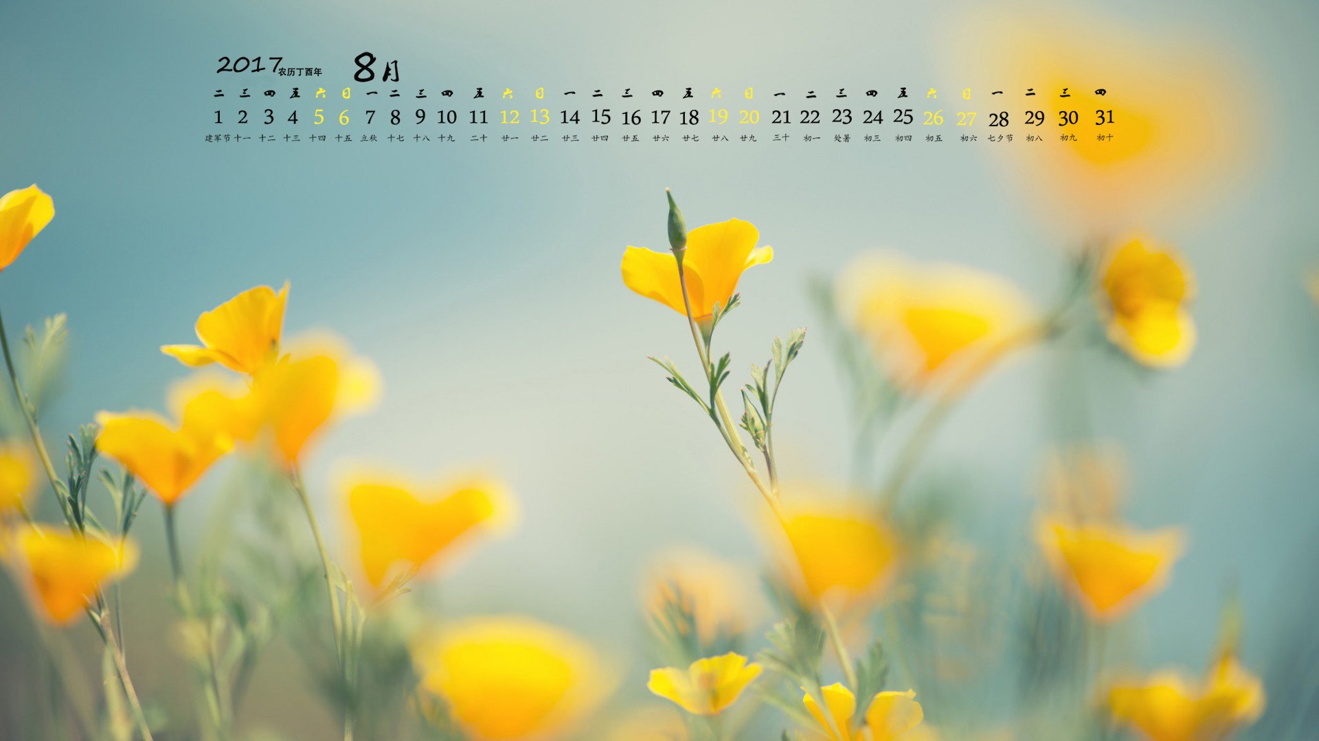 月历,2017年8月