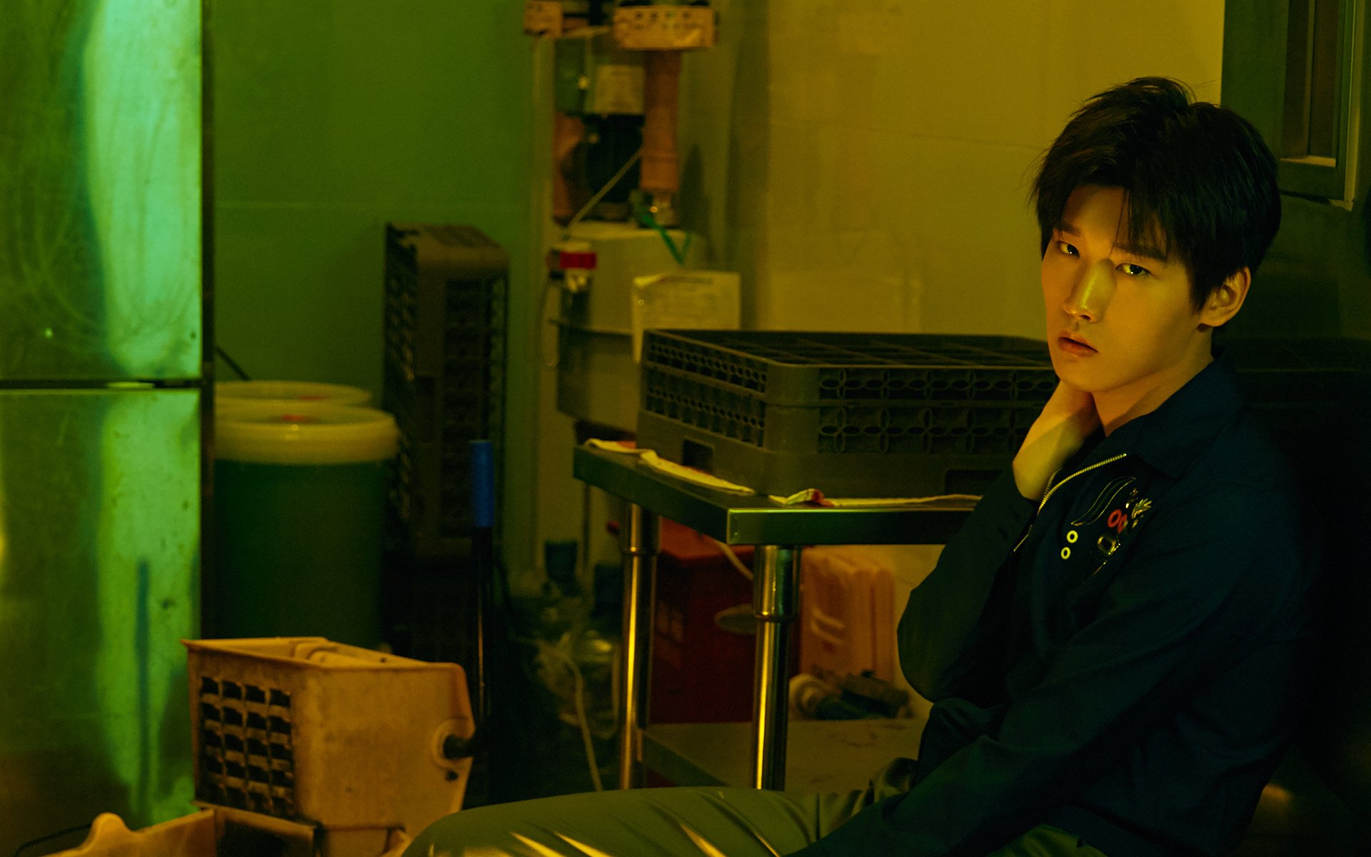 内地明星,邢昭林