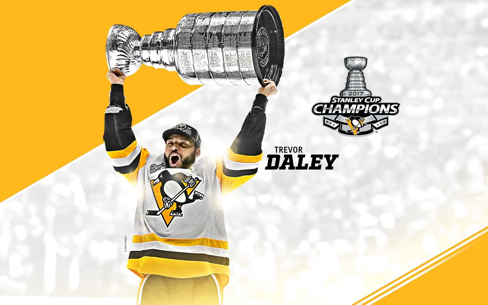 体育,运动,2017NHL总冠军球员,冰球