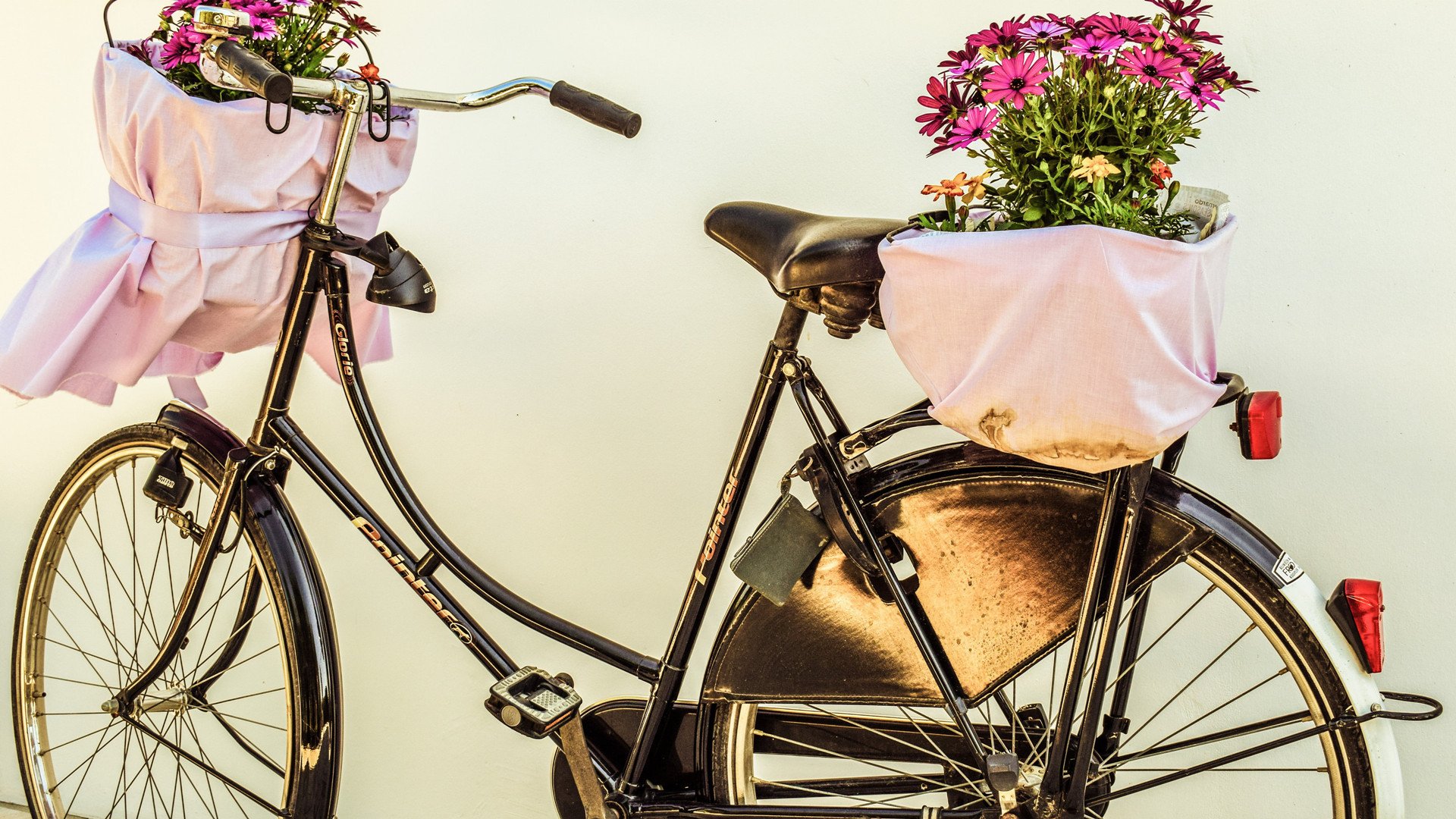 小清新,静物写真,自行车,花朵,花卉