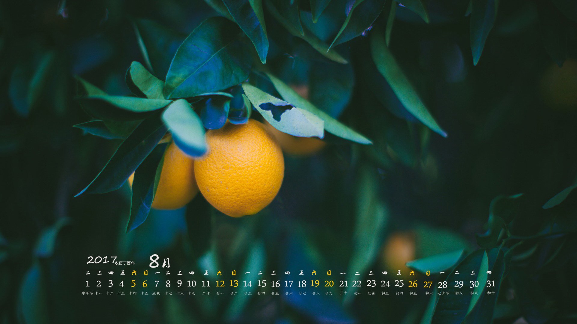 月历,2017年8月