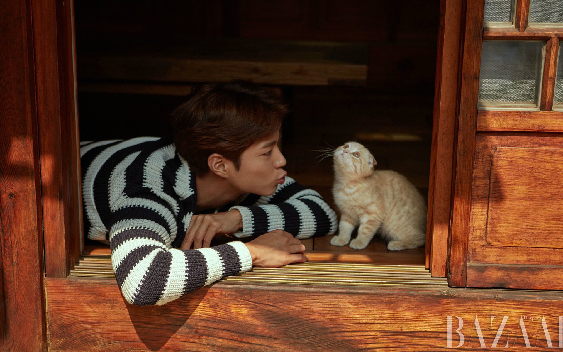 日韩明星,朴宝剑