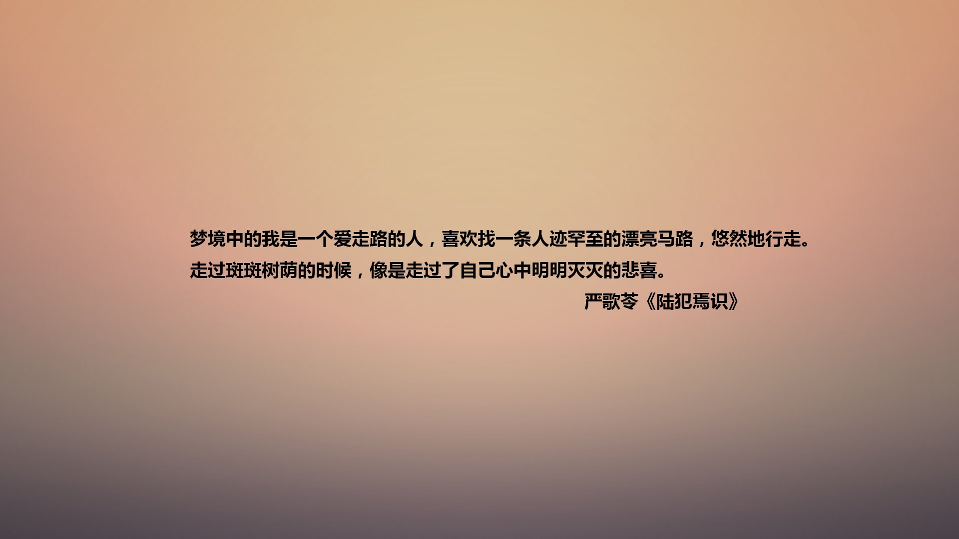 文字,语录,严歌苓,陆犯焉识