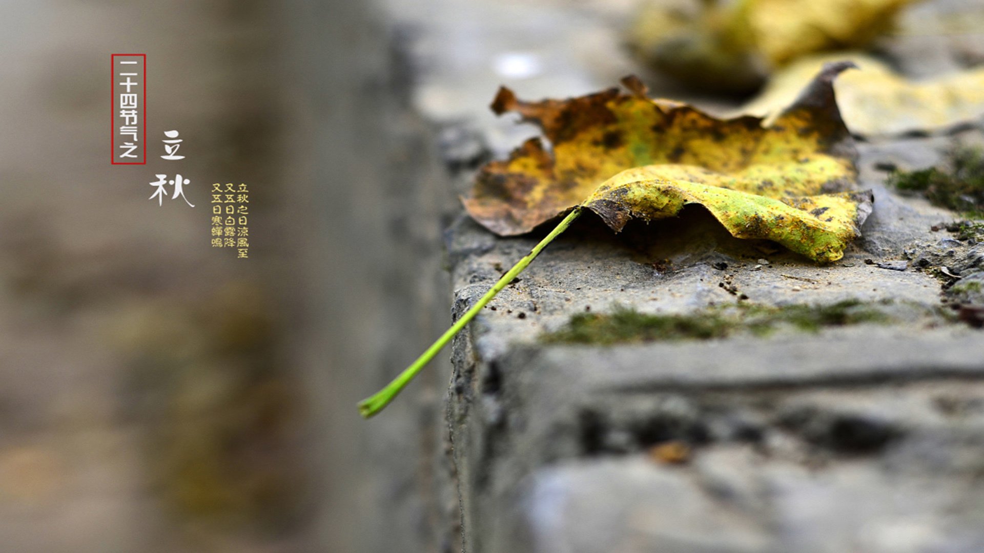 二十四节气,立秋