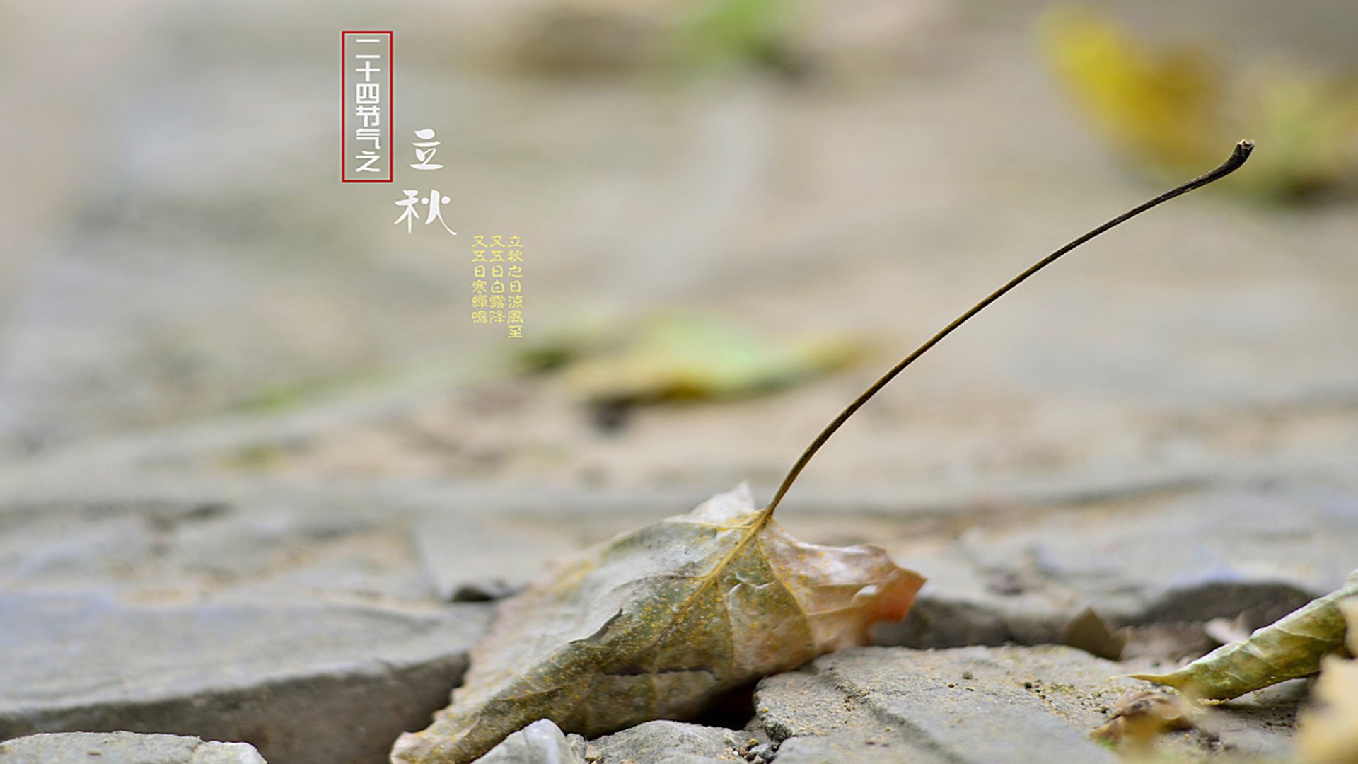 二十四节气,立秋