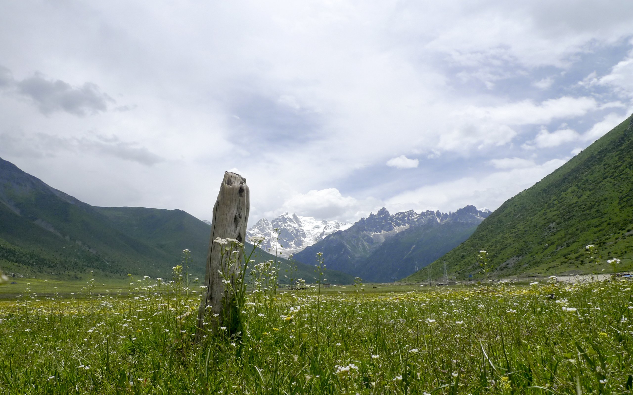 风景,自然风光,草地,雪山,山脉,山峰