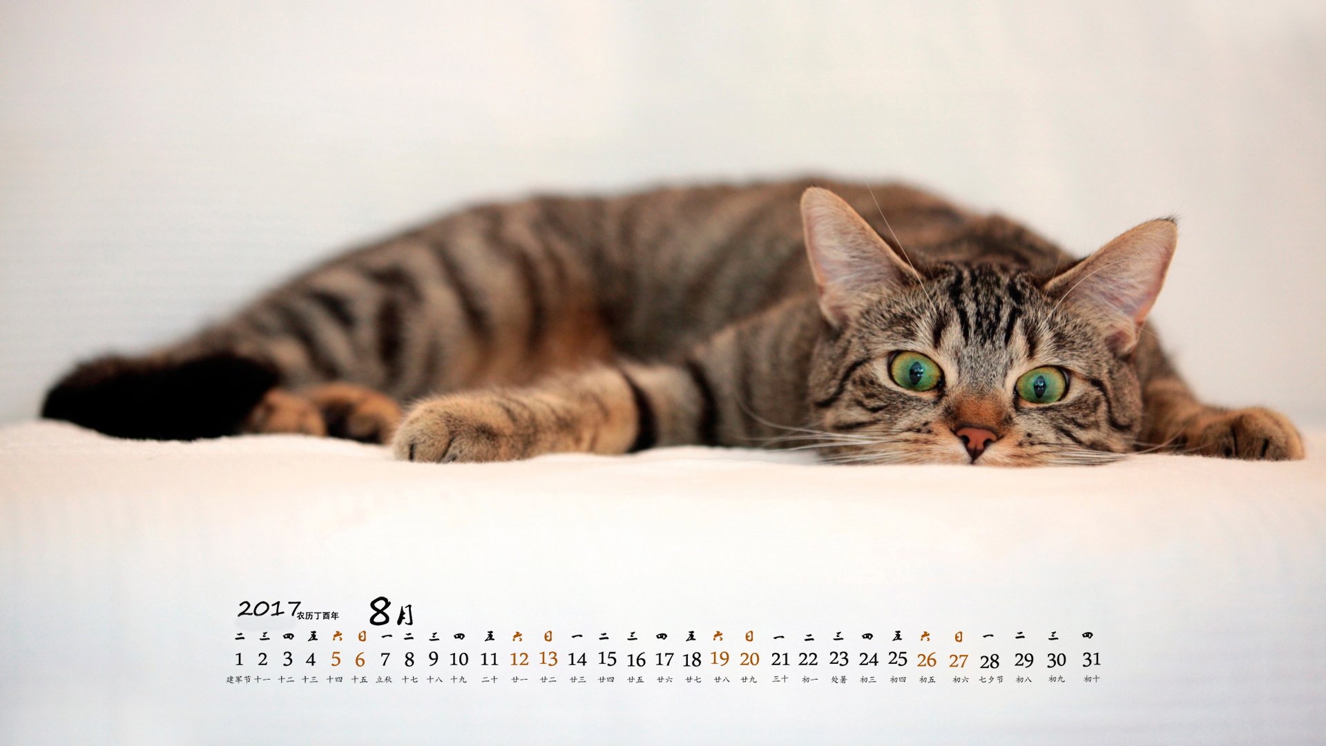 月历,2017年8月