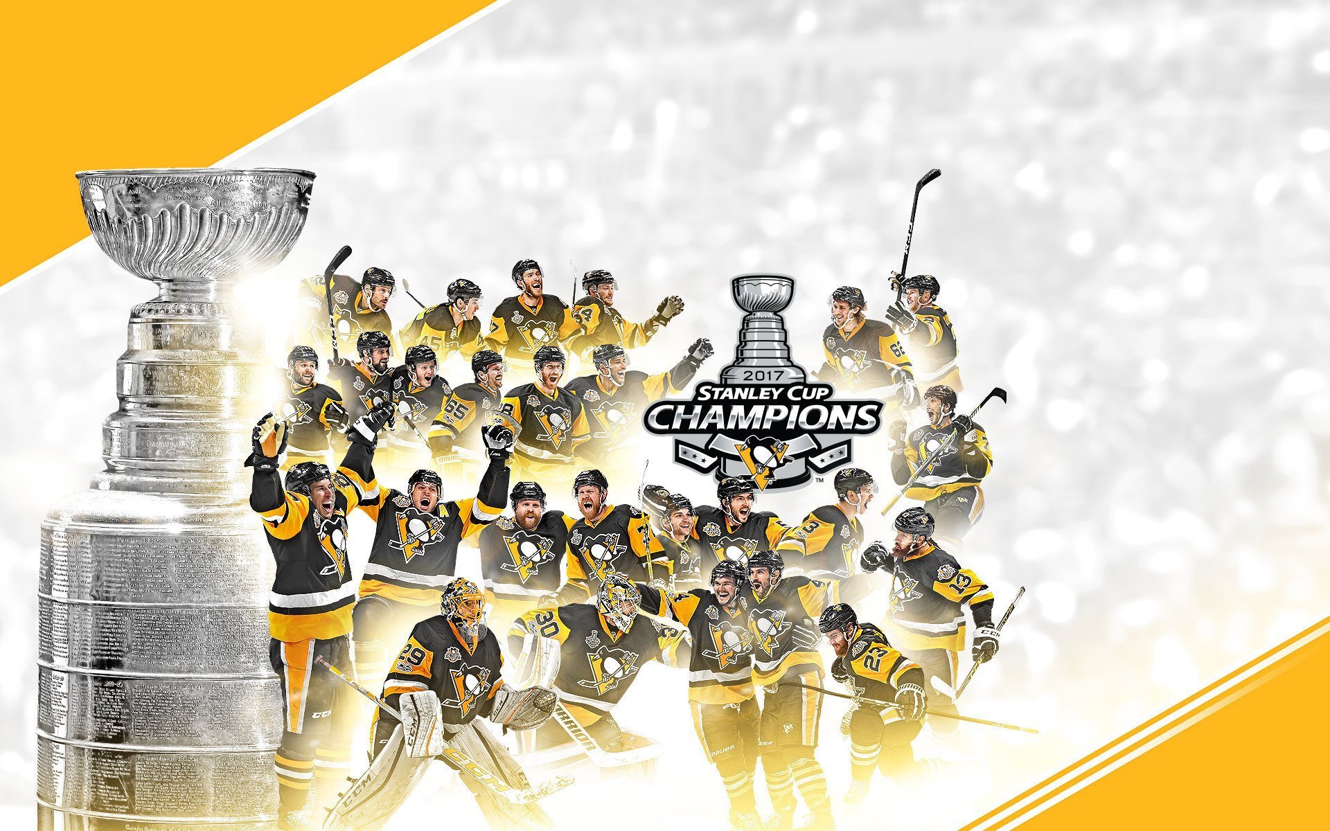 体育,运动,2017NHL斯坦利杯冠军,匹茨堡企鹅队,冰球
