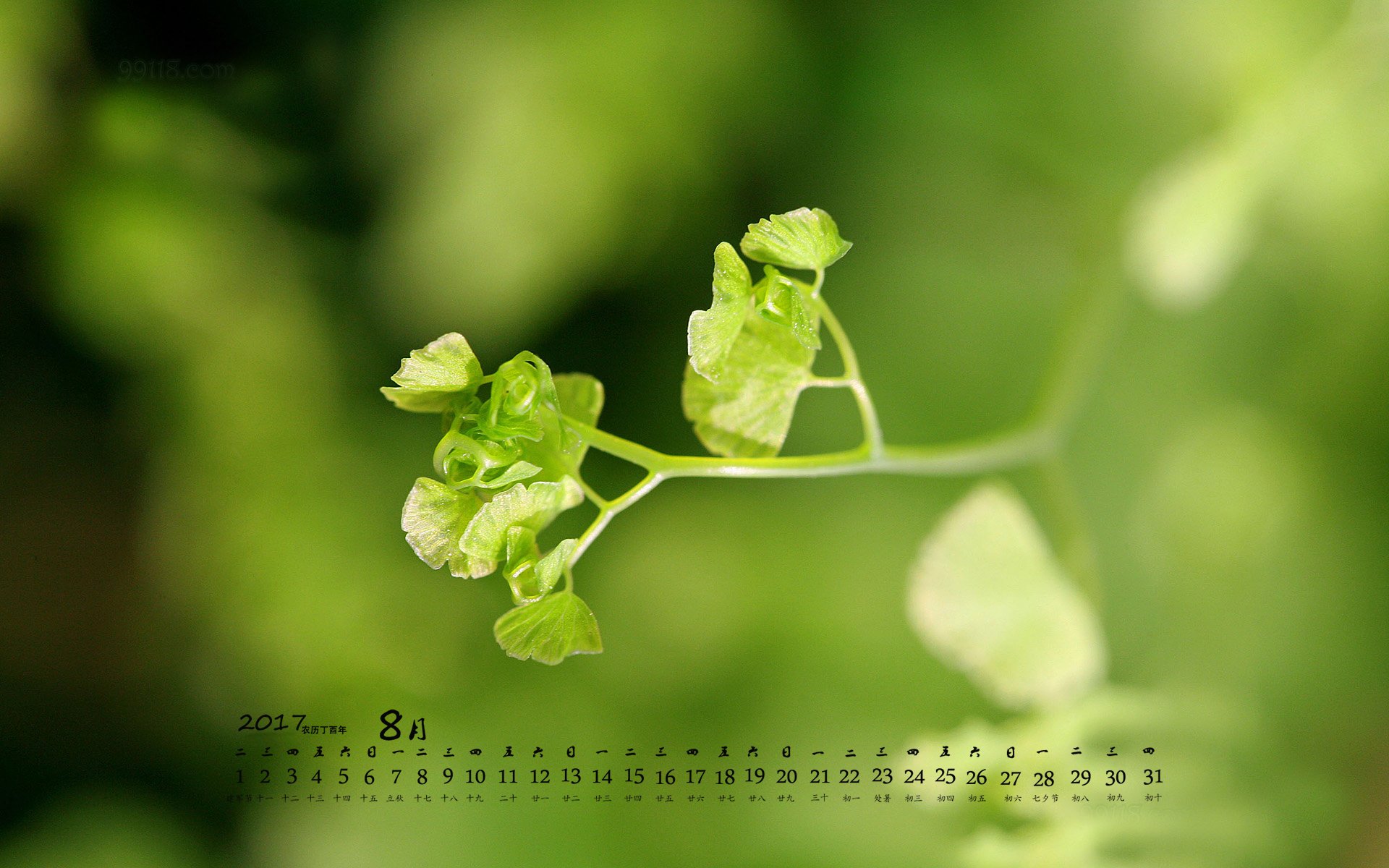 月历,2017年8月
