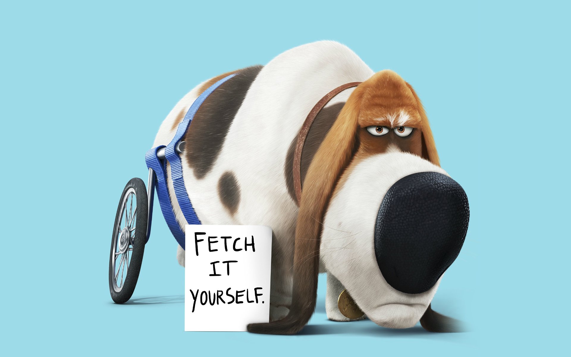 动漫,卡通,爱宠大机密