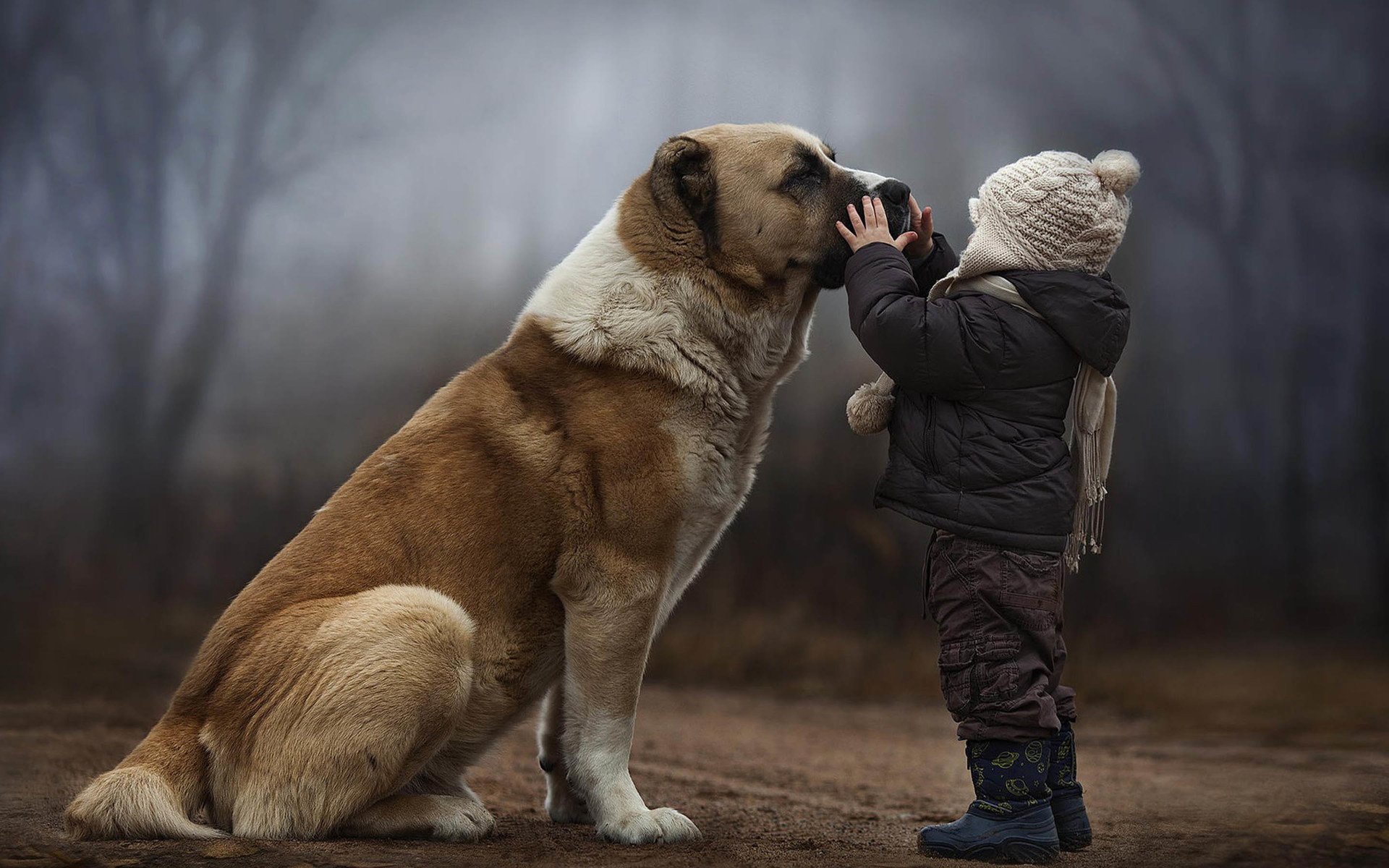 baby秀,小孩,儿童