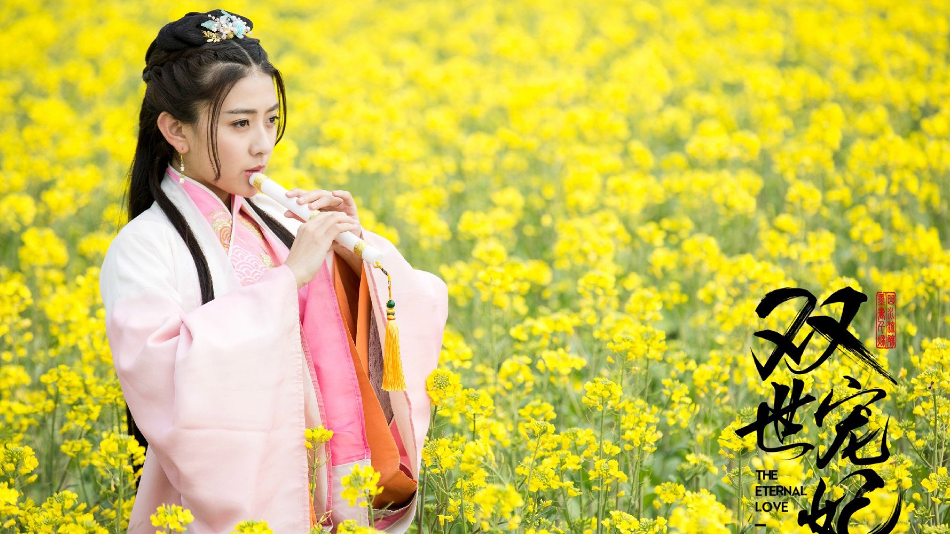 影视,电视剧,双世宠妃