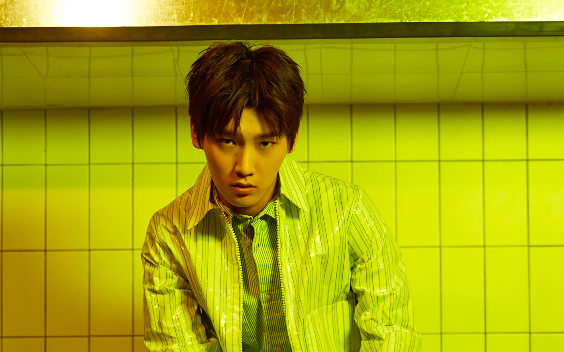 内地明星,邢昭林