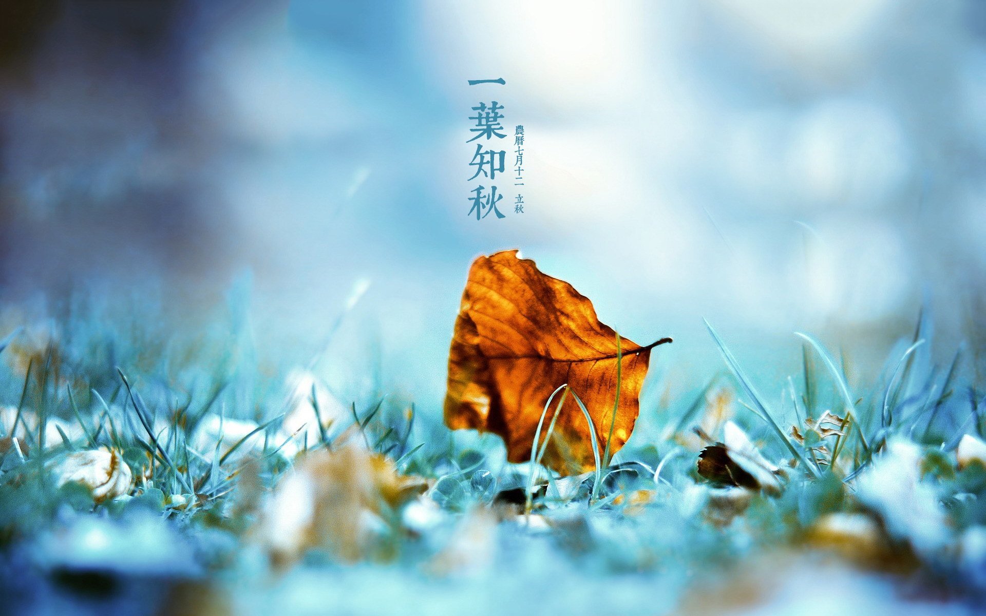 二十四节气,立秋