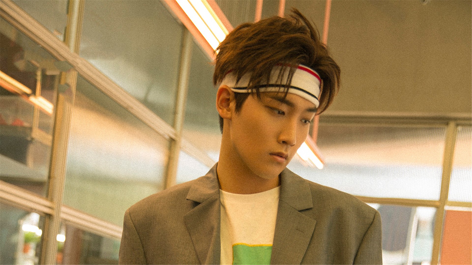 内地明星,邢昭林