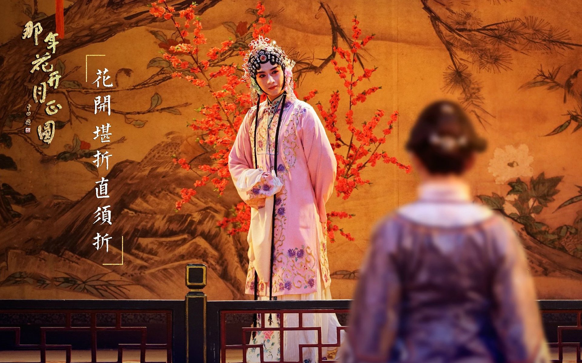 影视,电视剧,那年花开月正圆