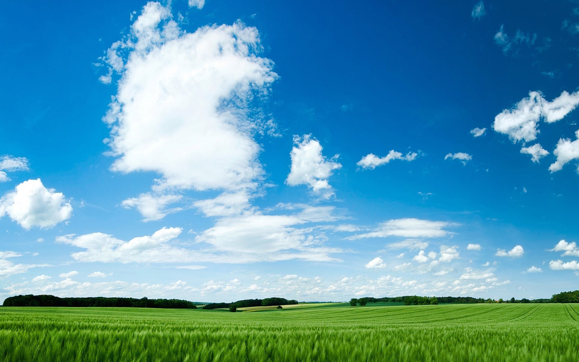 小清新,护眼壁纸,草地,蓝天白云