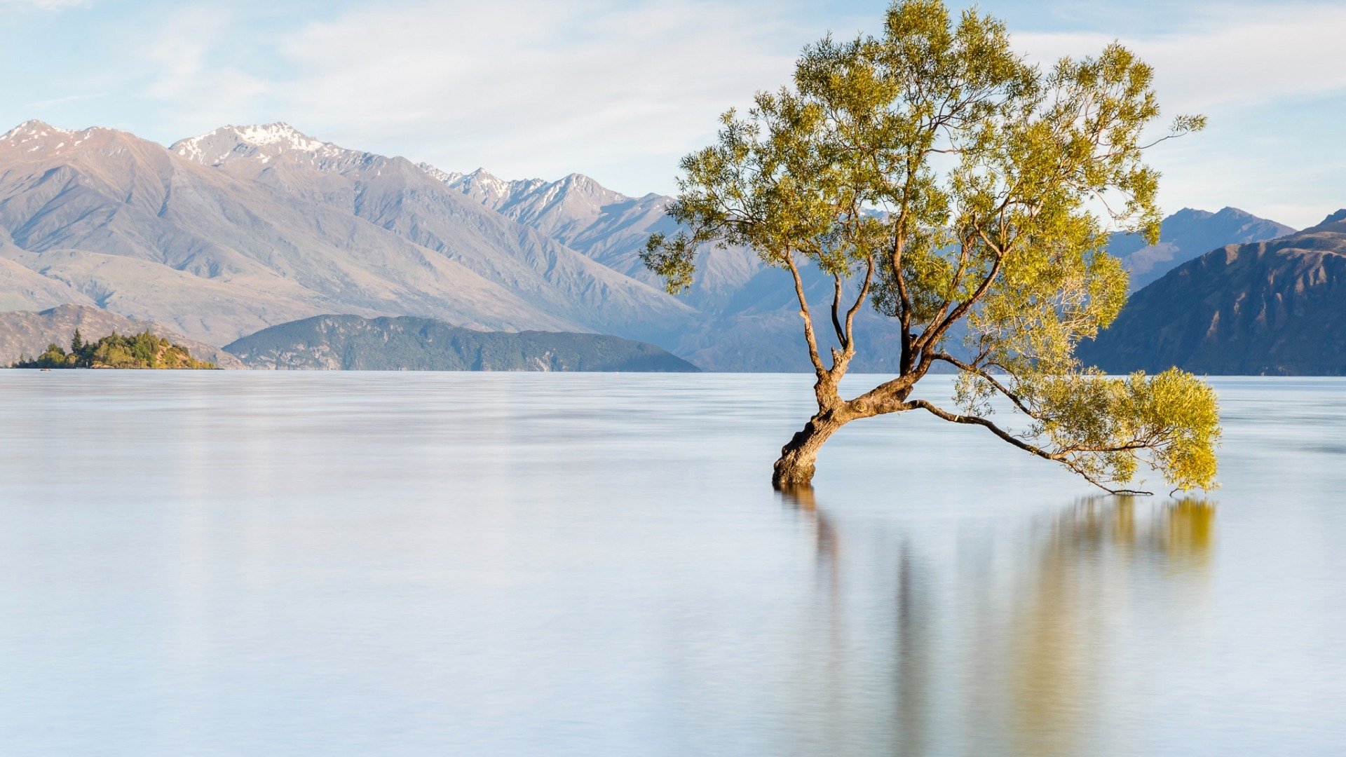 风景,自然风光,湖泊,树木