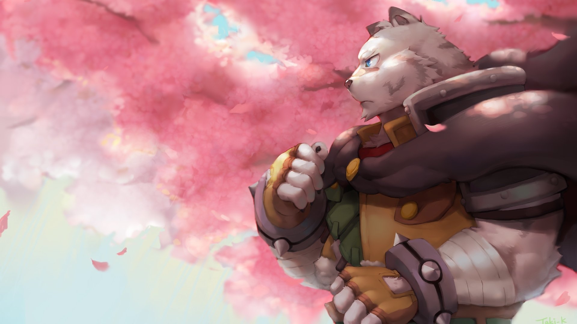 动漫,从零开始的魔法书