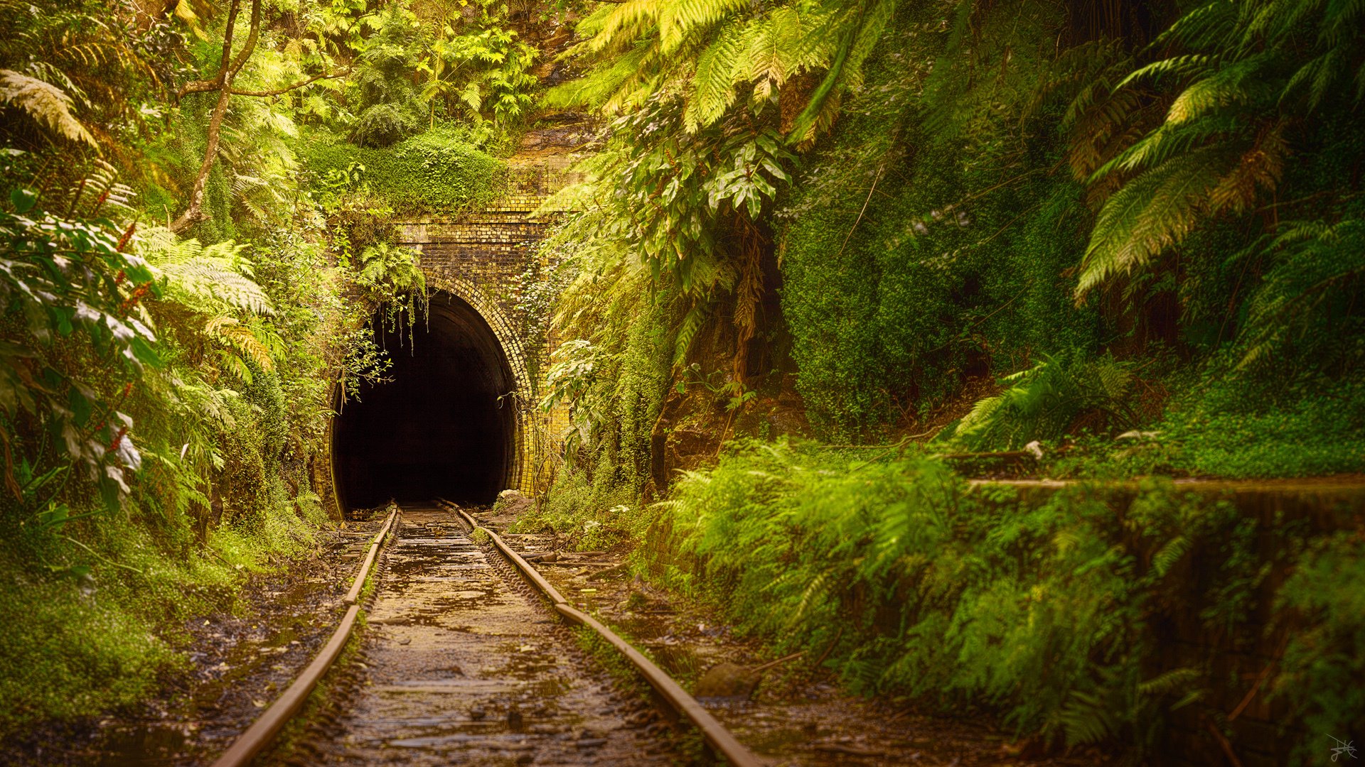 风景,自然风光,澳大利亚废弃的火车轨道