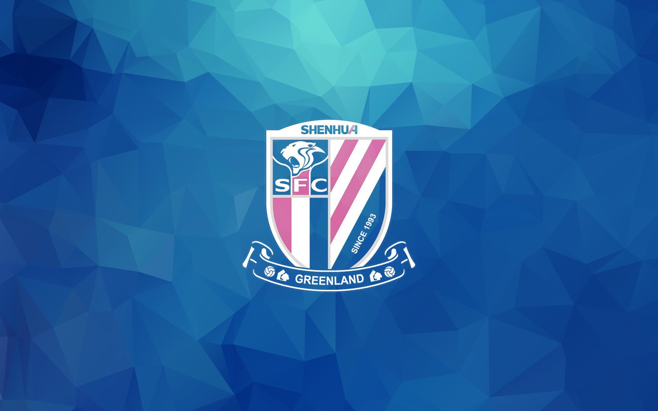 体育,运动,足球,上海申花,中超