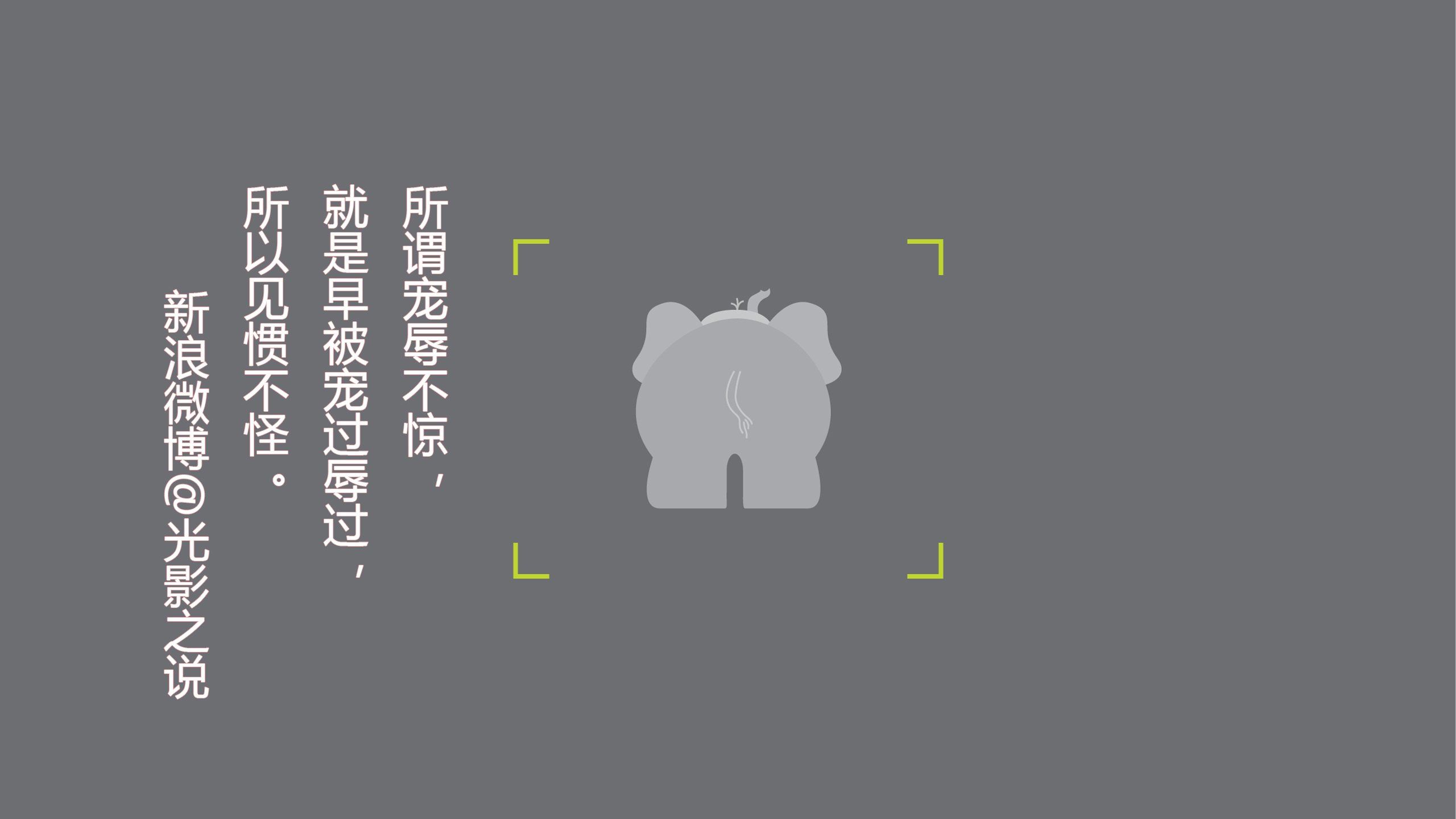 文字,语录,感悟