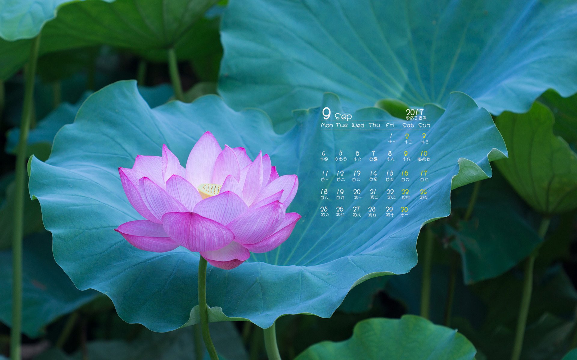 月历,2017年9月