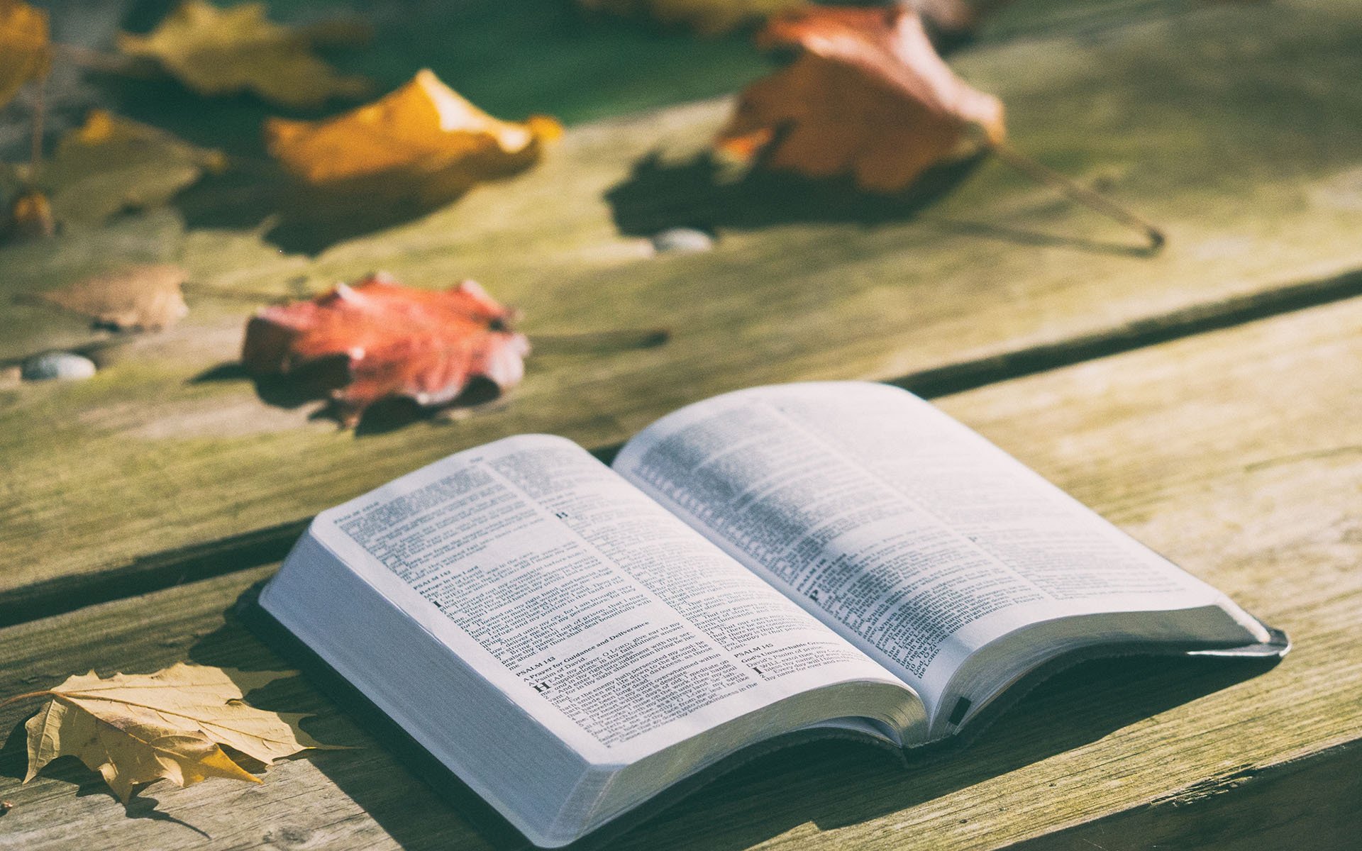 小清新,静物写真,书本,书籍