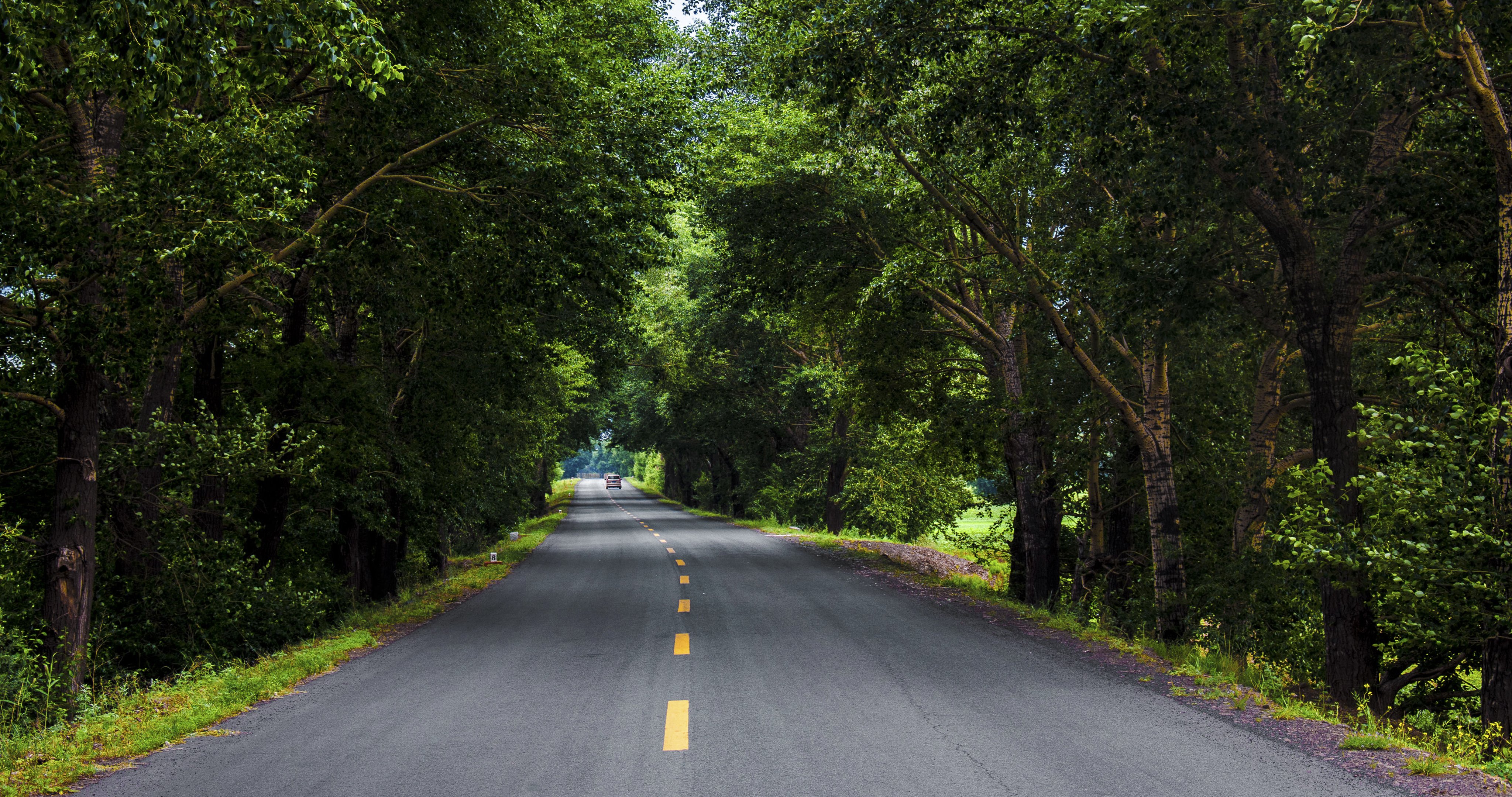 4K,风景,道路