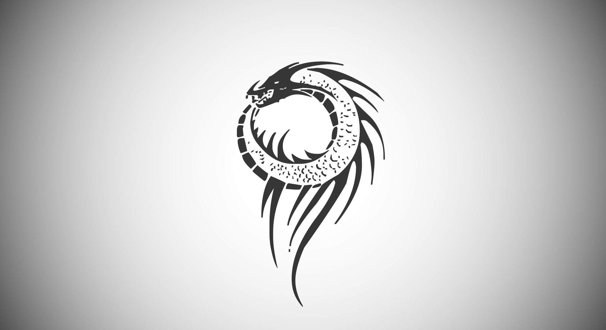 炫酷时尚,简约,龙