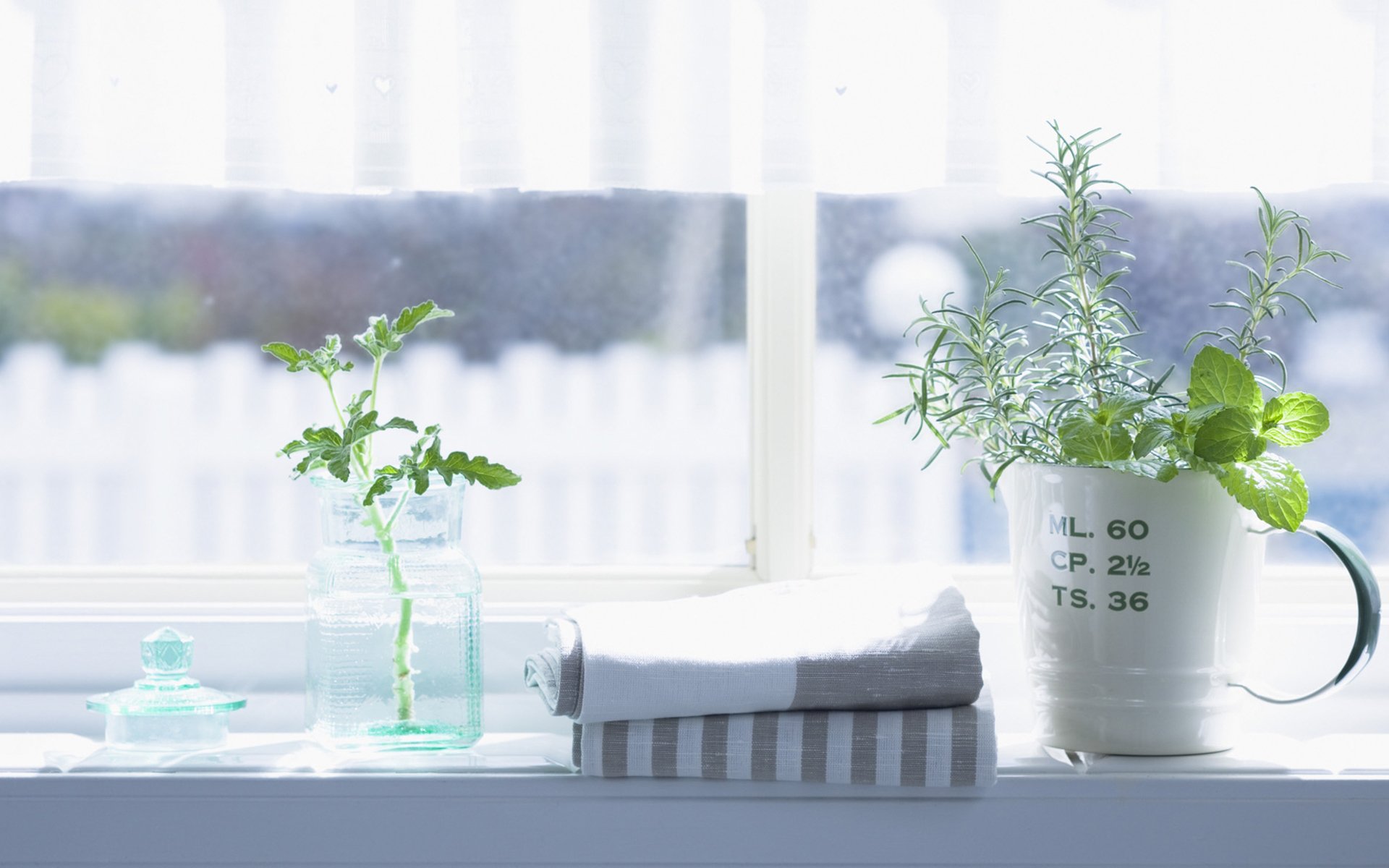 小清新,静物写真,窗台,盆栽