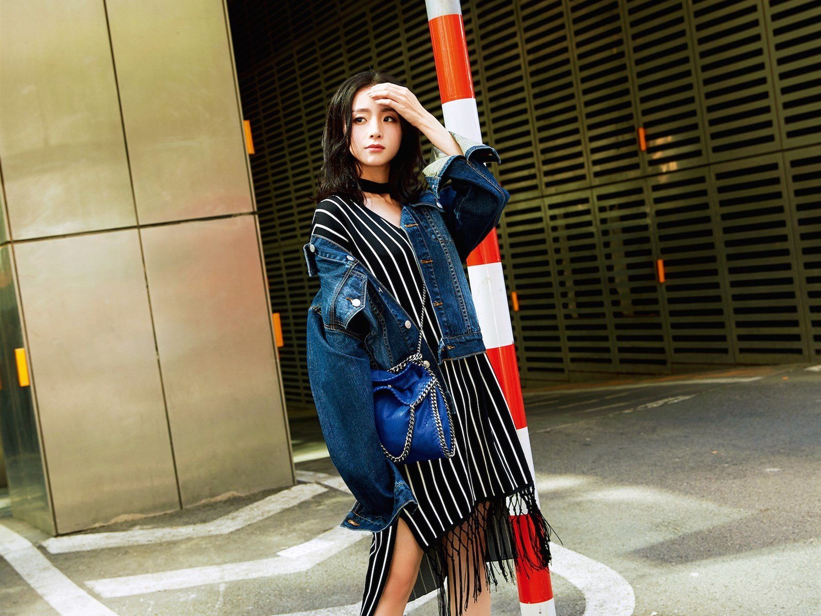 内地明星,胡冰卿