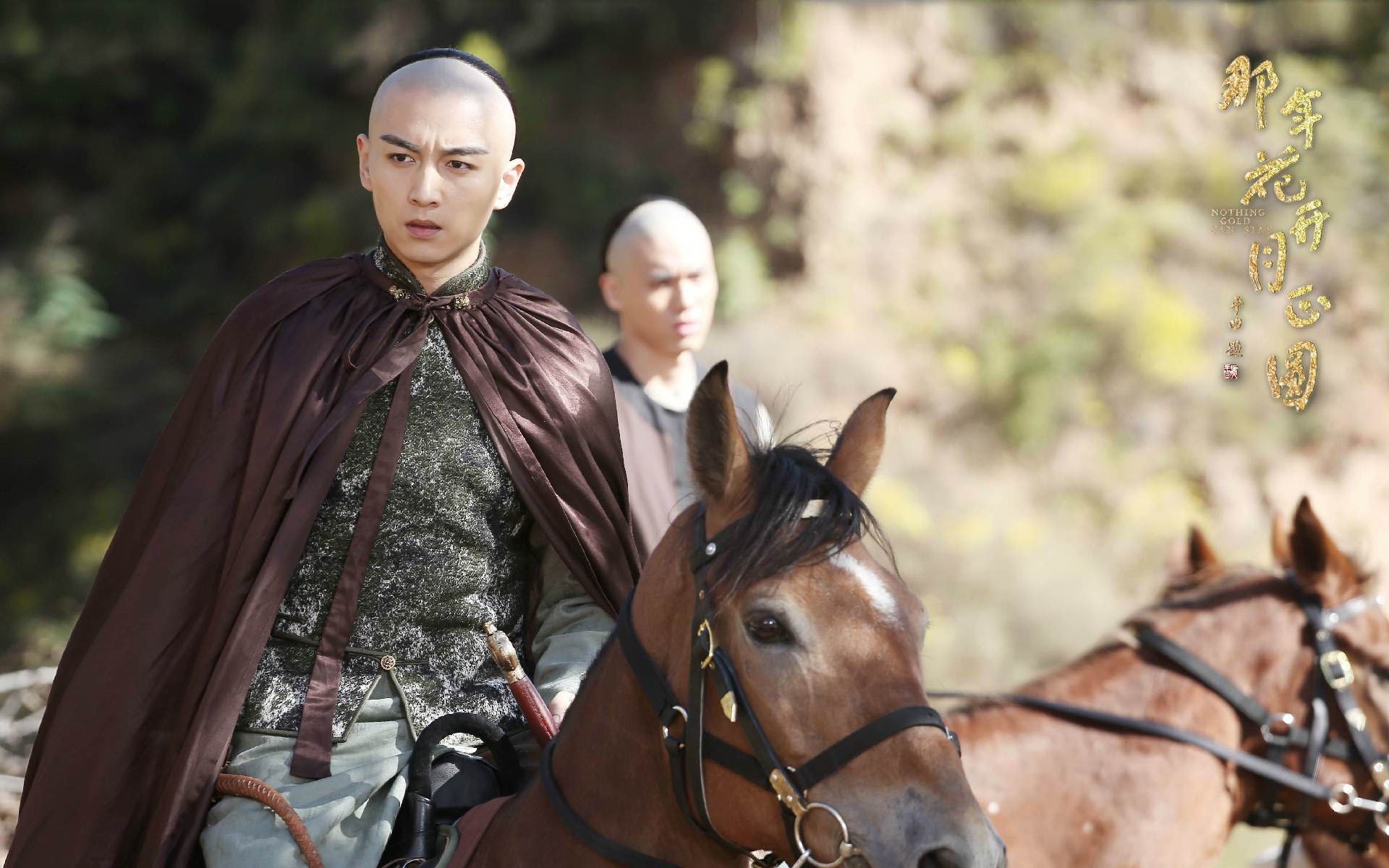 影视,电视剧,那年花开月正圆