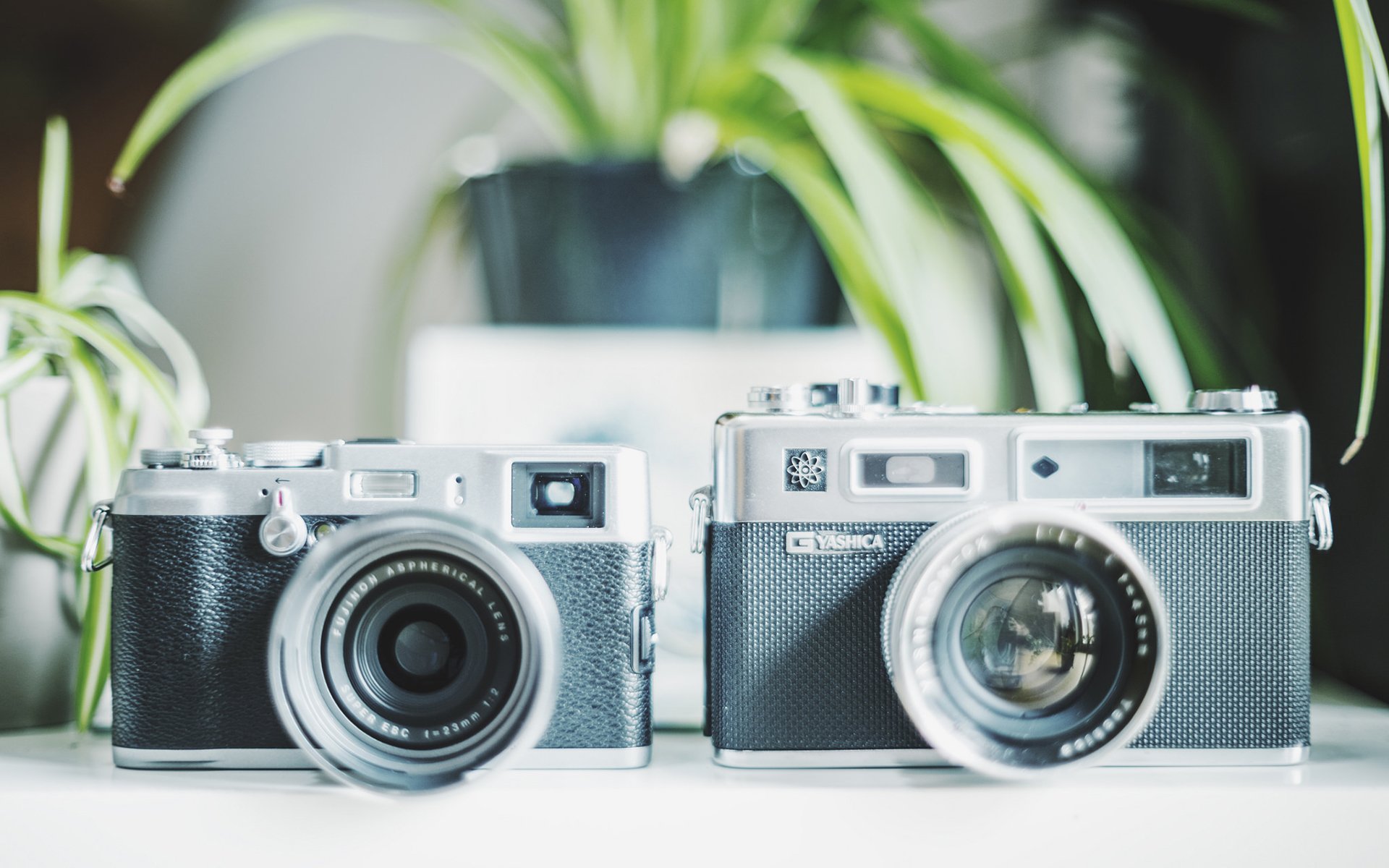 小清新,静物写真,相机