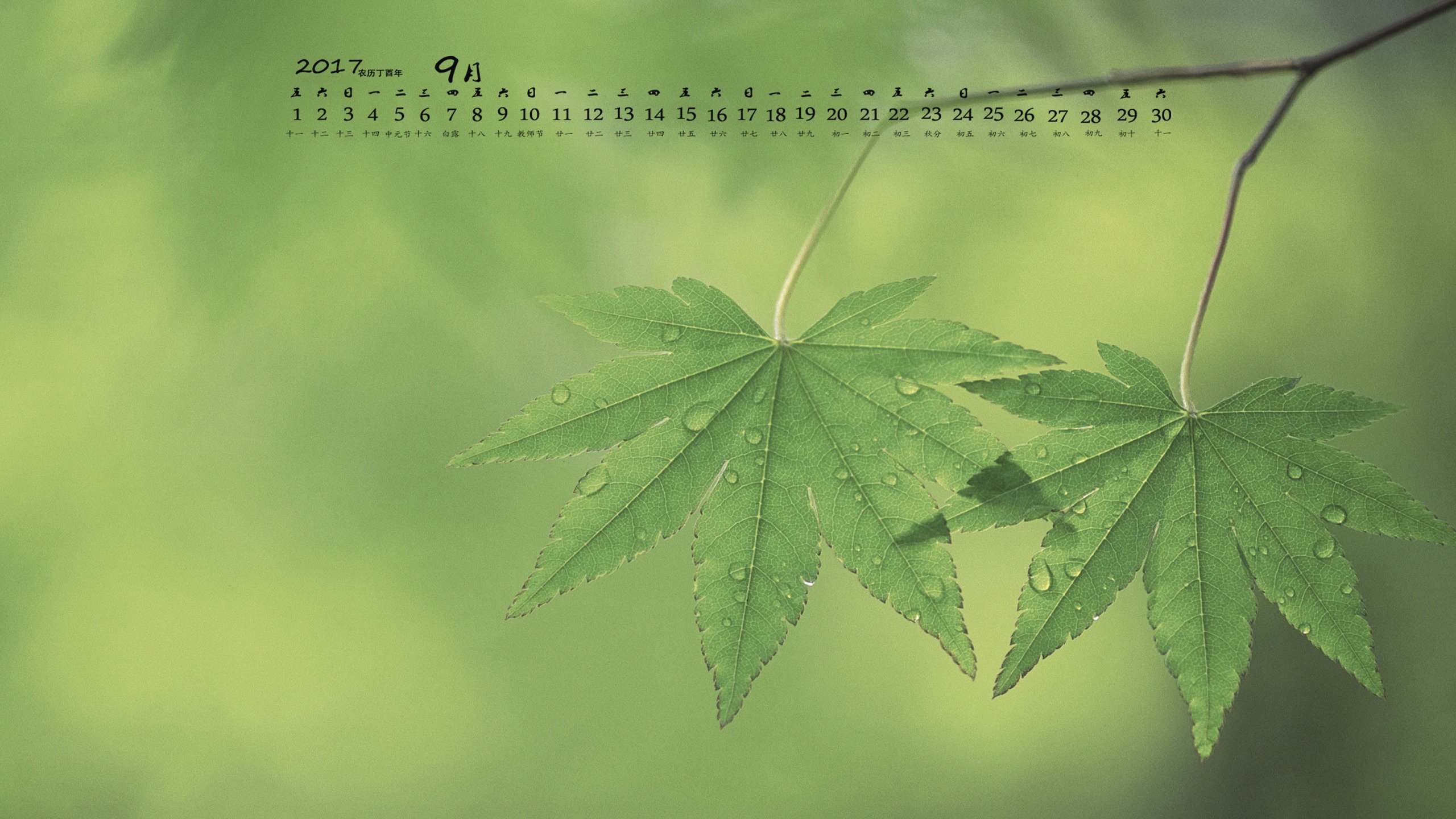月历,2017年9月
