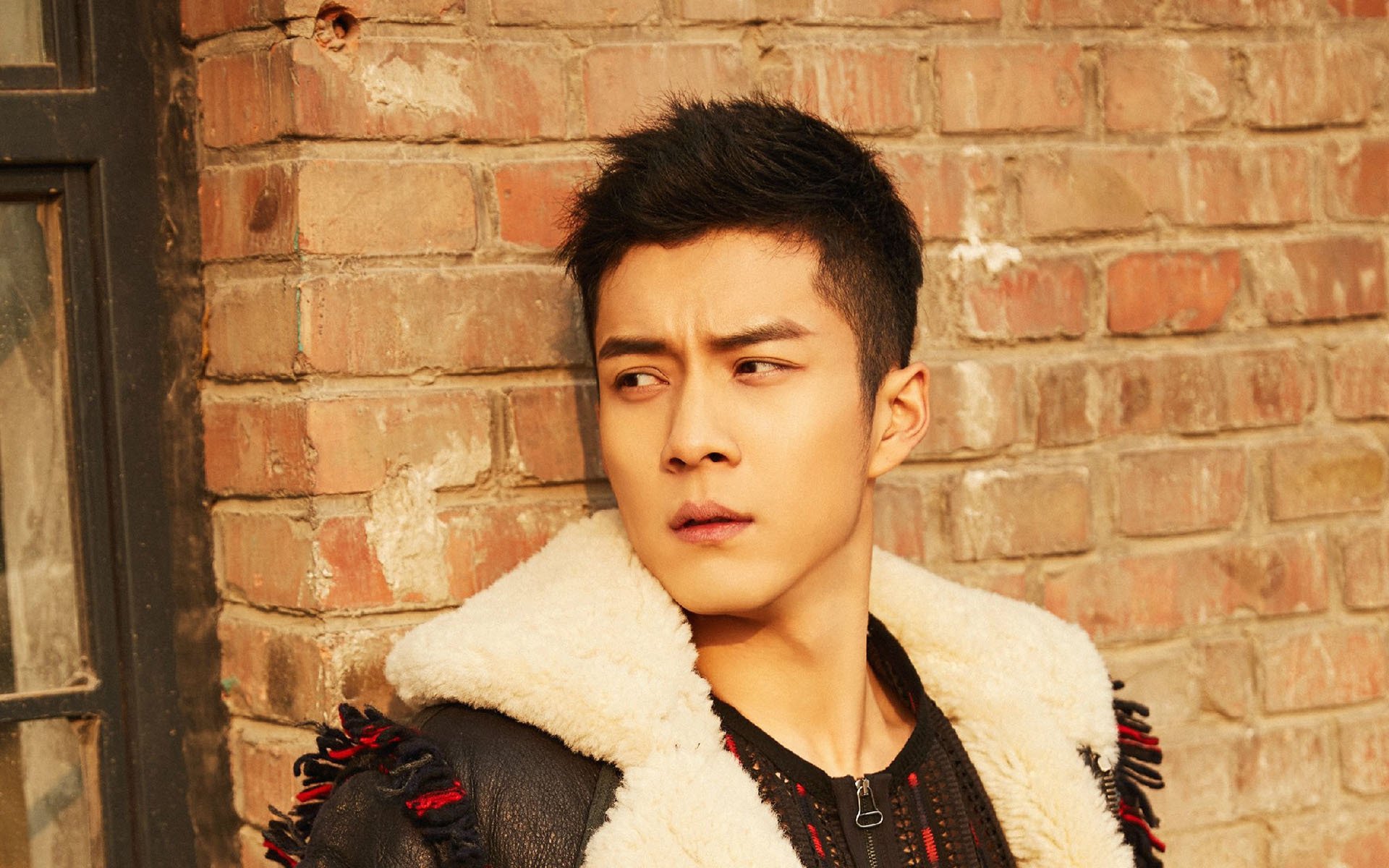 内地明星,韩东君