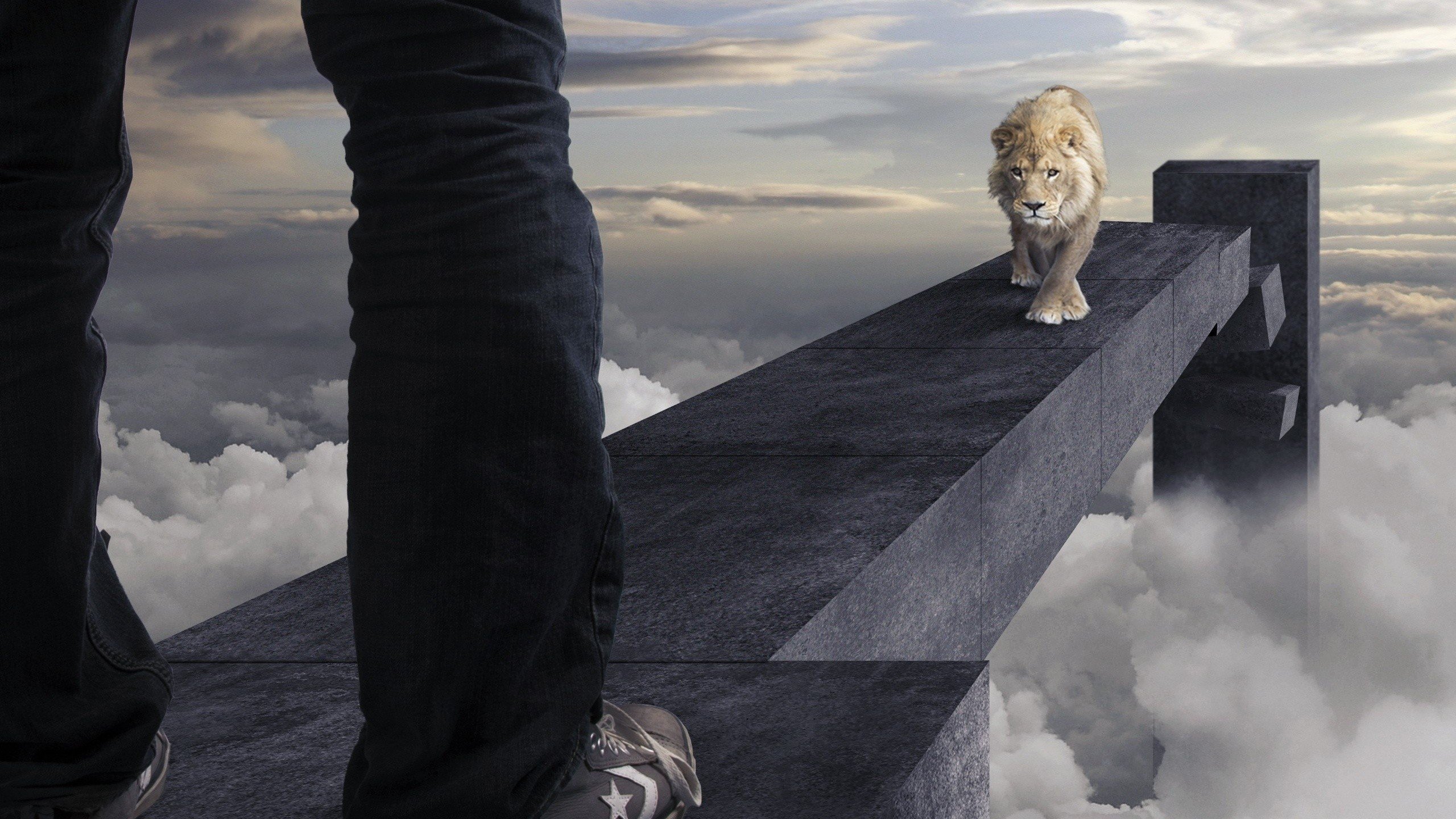 炫酷时尚,创意,趣味,狮子