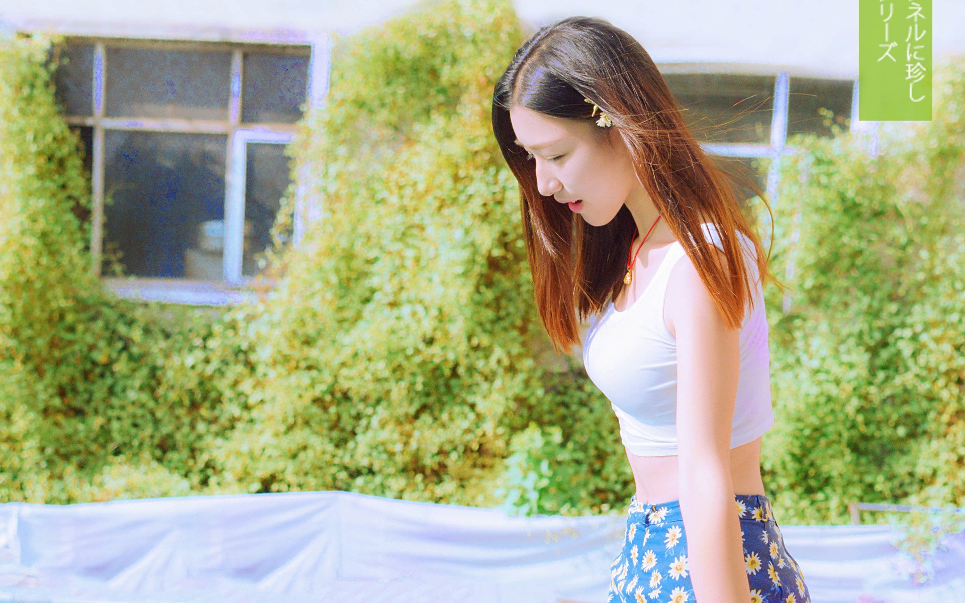 美女,清纯,可爱