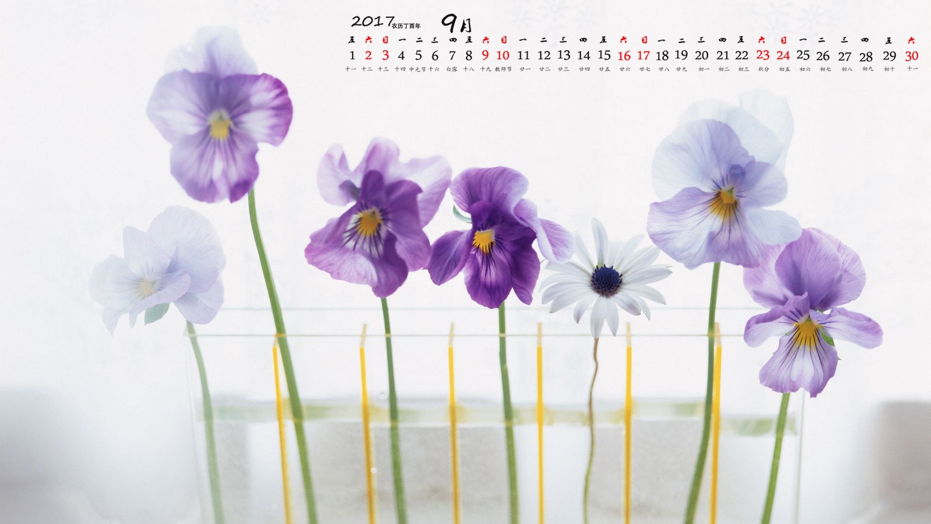 月历,2017年9月