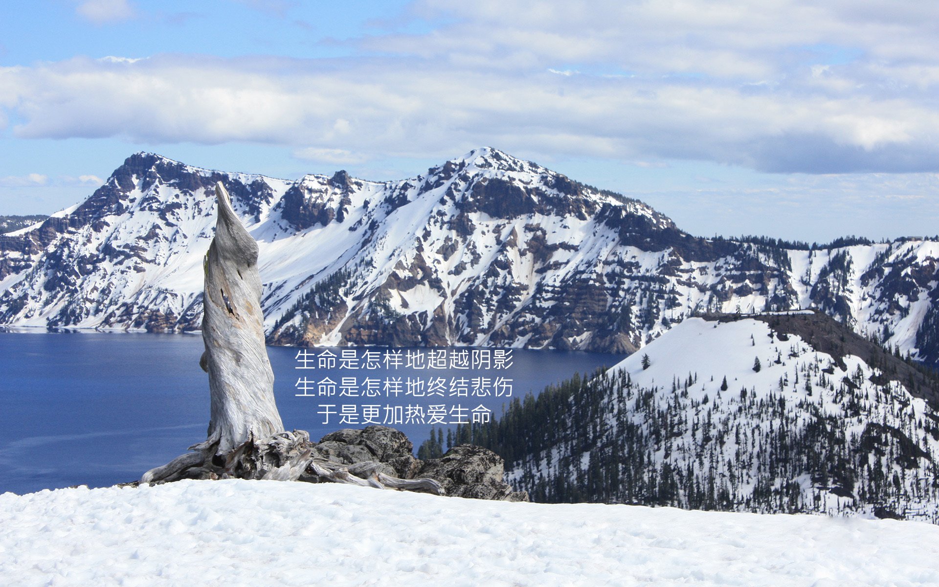 文字,语录,励志